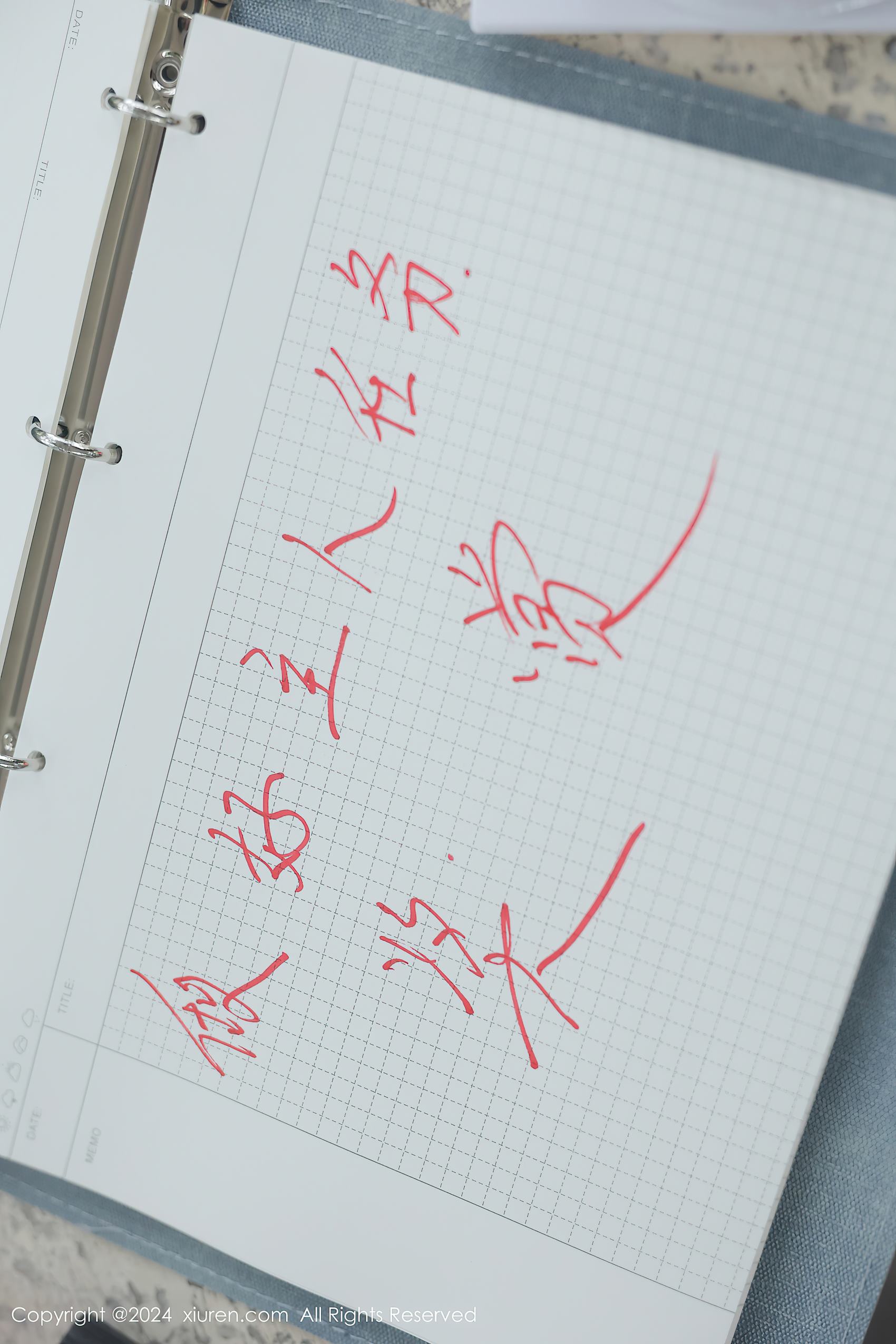 图片[17]-[Xiuren秀人网]2024.04.02 NO.8335 小薯条nienie 主人的任务  [32+1P] – 速更版-美库