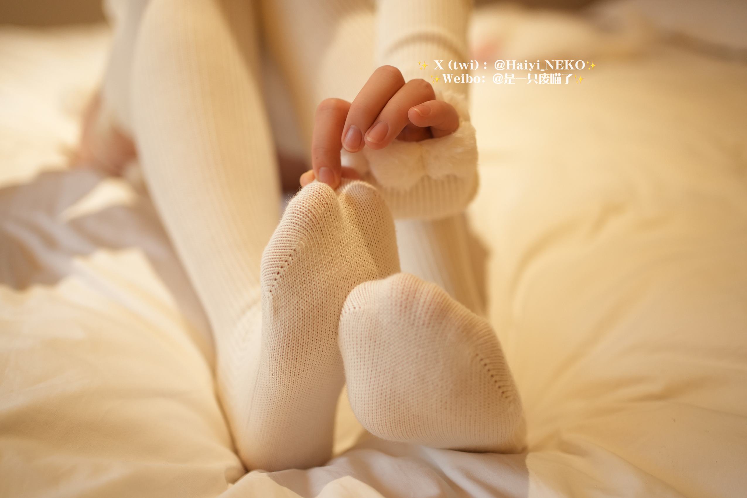 图片[26]-是一只废喵了  – もこもこ[25P] – 速更版-美库