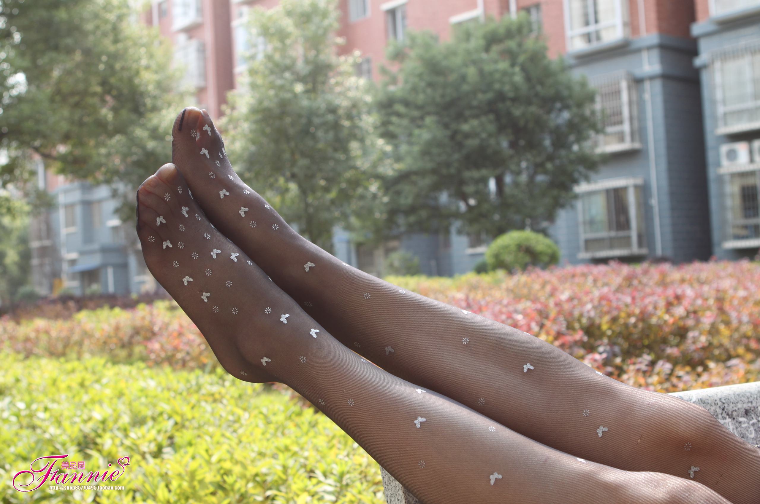 图片[17]-Fannie芬妮每足园 No.435 丝族特辑2 黑丝[67P] – 速更版-美库