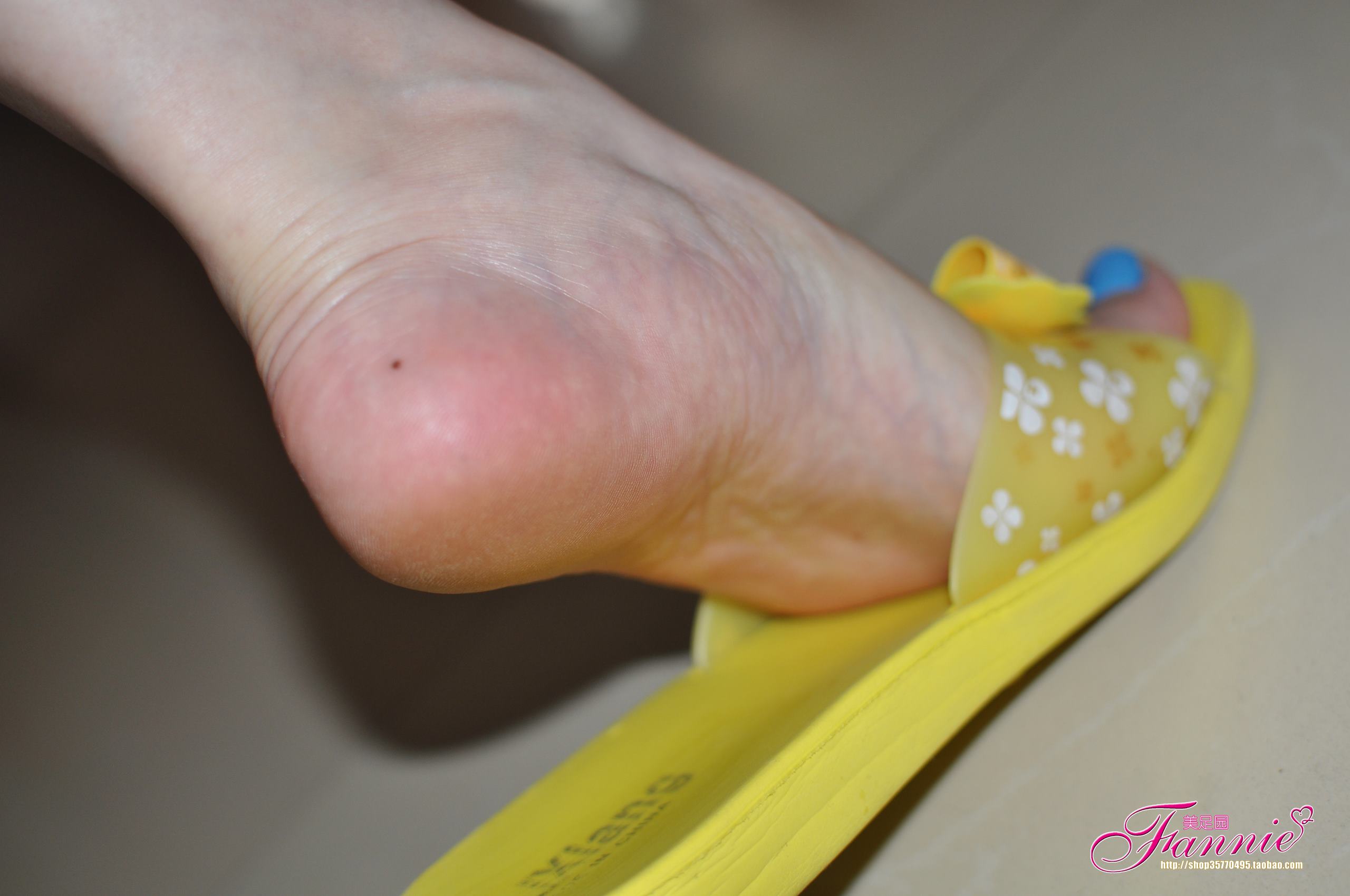 图片[29]-Fannie芬妮每足园 No.448 特辑图 裸足[30P] – 速更版-美库