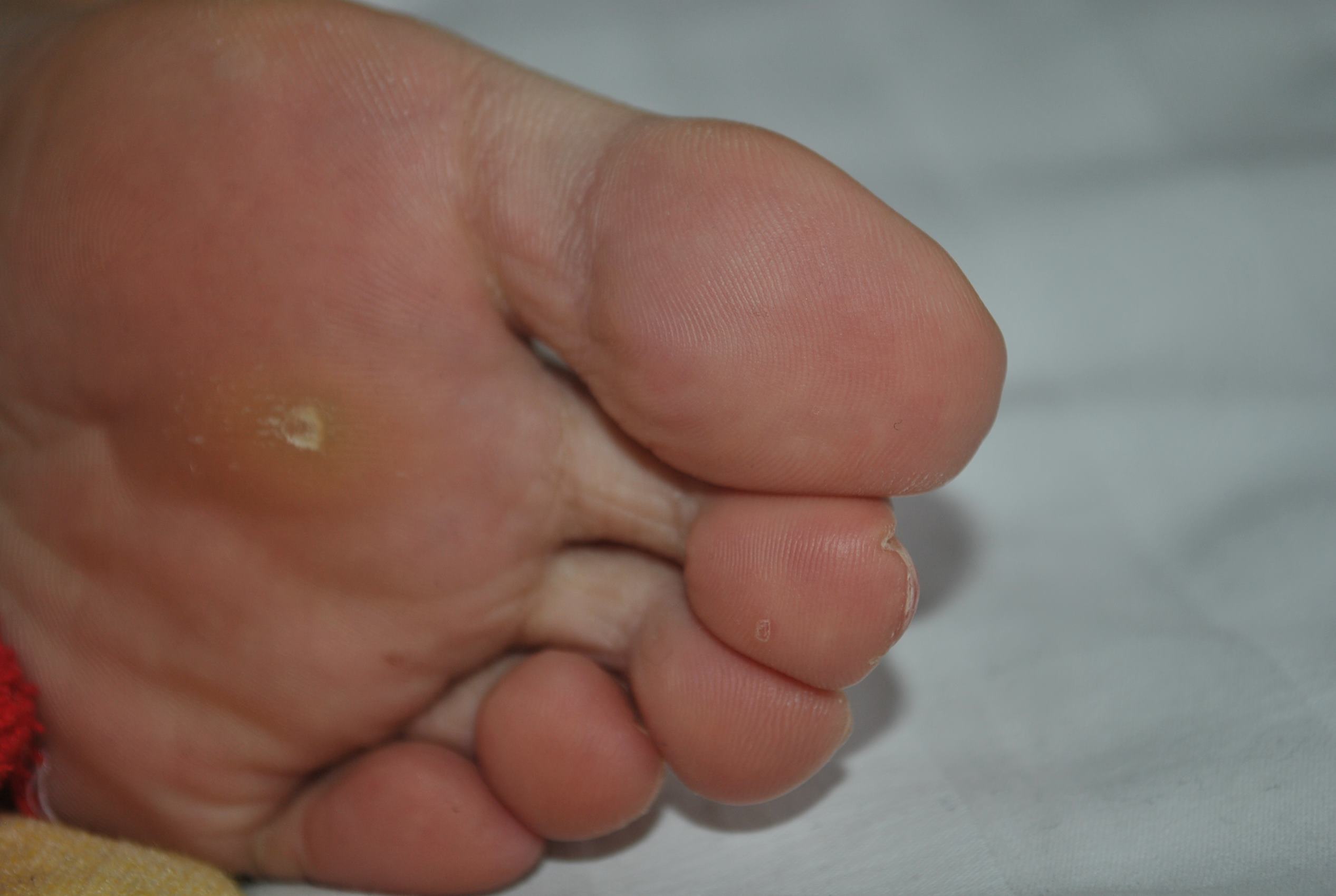 图片[46]-自由摄影 No.196 朱朱张力十足 纹路清晰 [66P] – 速更版-美库