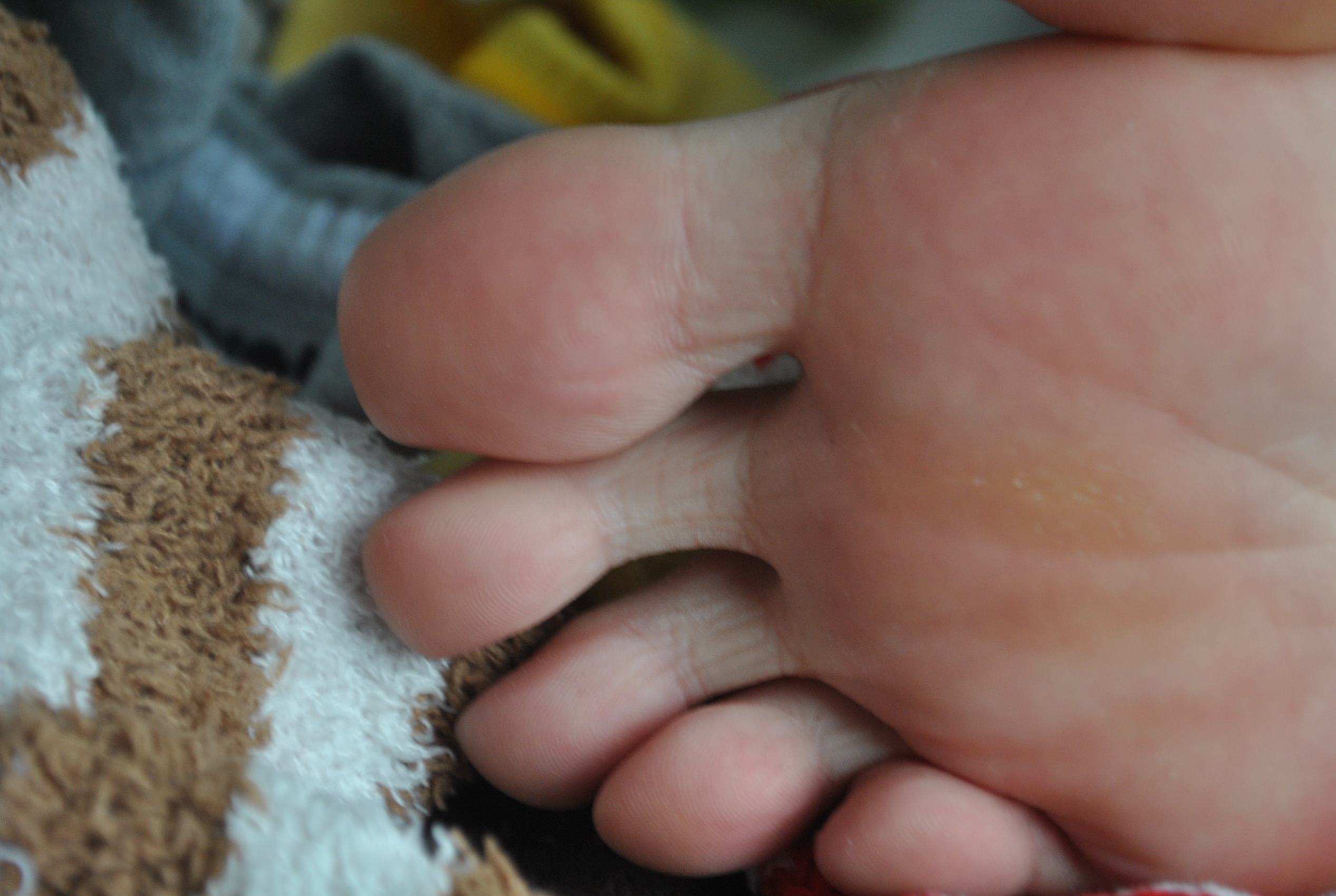 图片[56]-自由摄影 No.196 朱朱张力十足 纹路清晰 [66P] – 速更版-美库