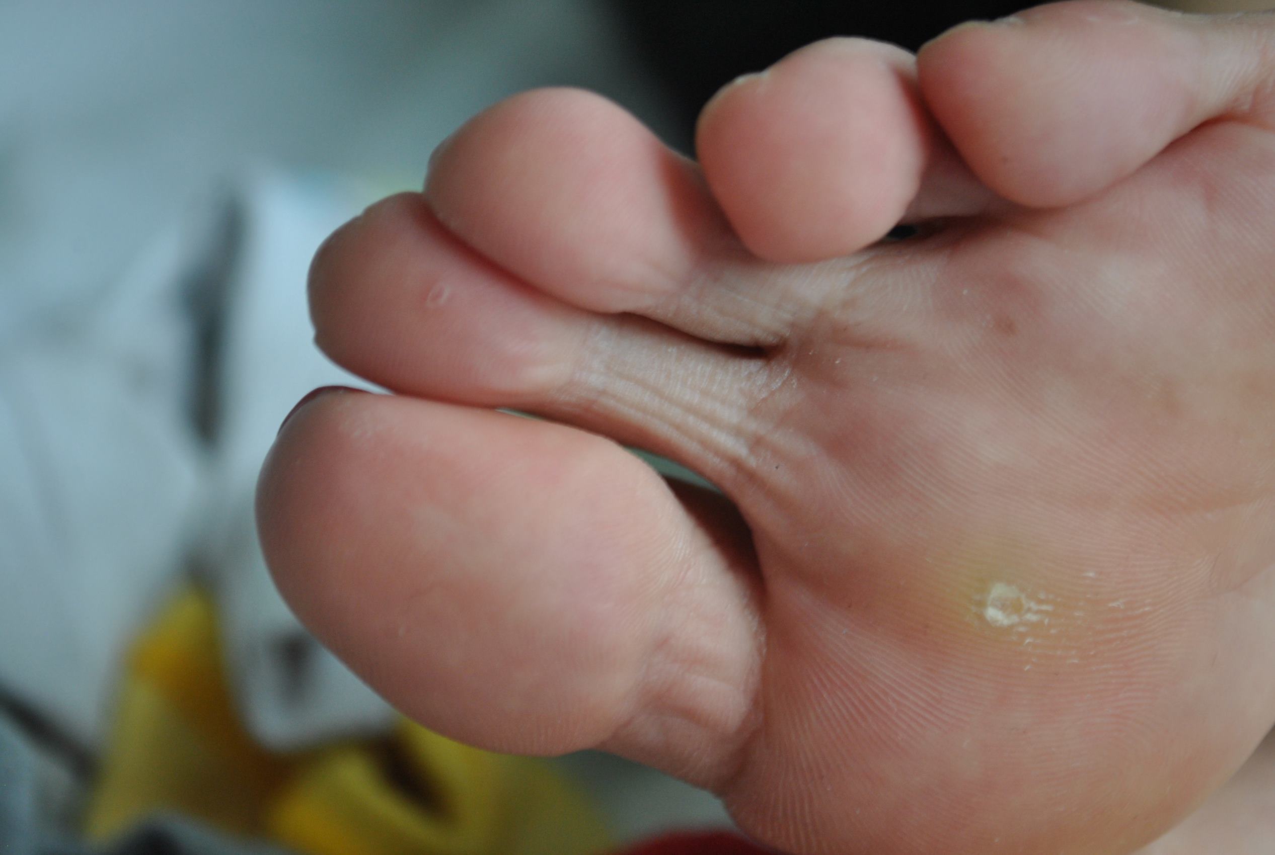 图片[58]-自由摄影 No.196 朱朱张力十足 纹路清晰 [66P] – 速更版-美库