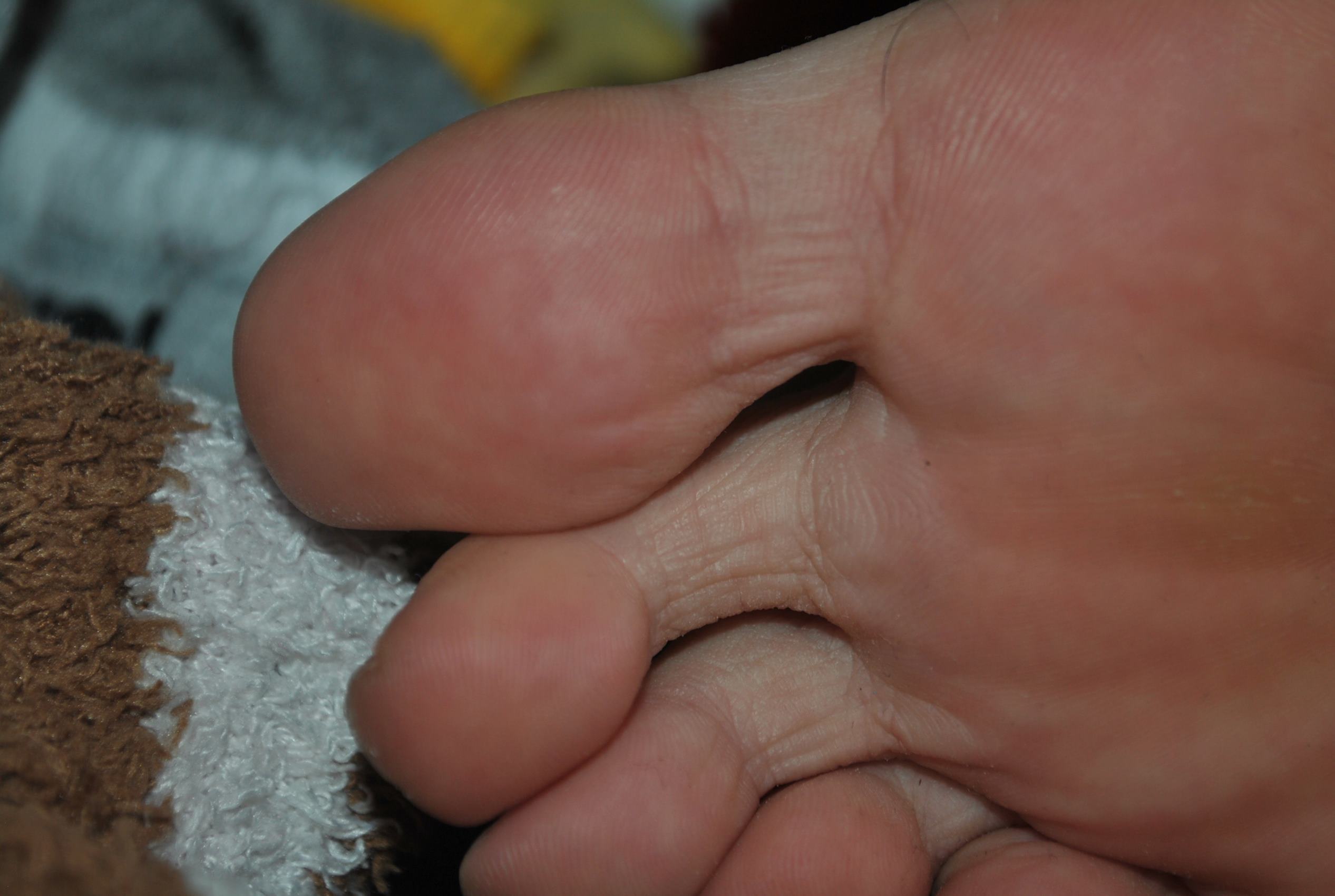 图片[59]-自由摄影 No.196 朱朱张力十足 纹路清晰 [66P] – 速更版-美库