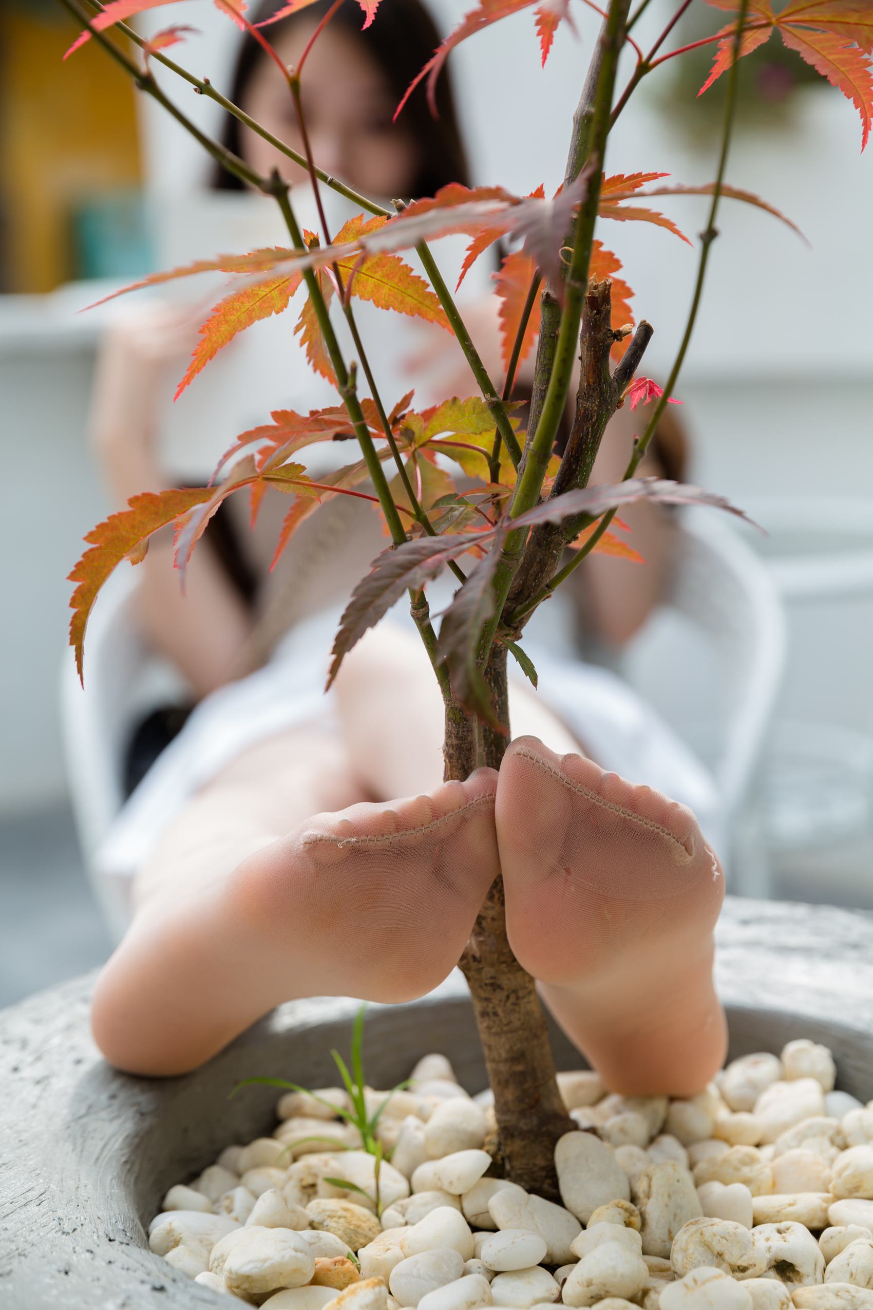 图片[64]-网紅Coser@Sia不吃鱼 纯白超短裙 [117P] – 速更版-美库