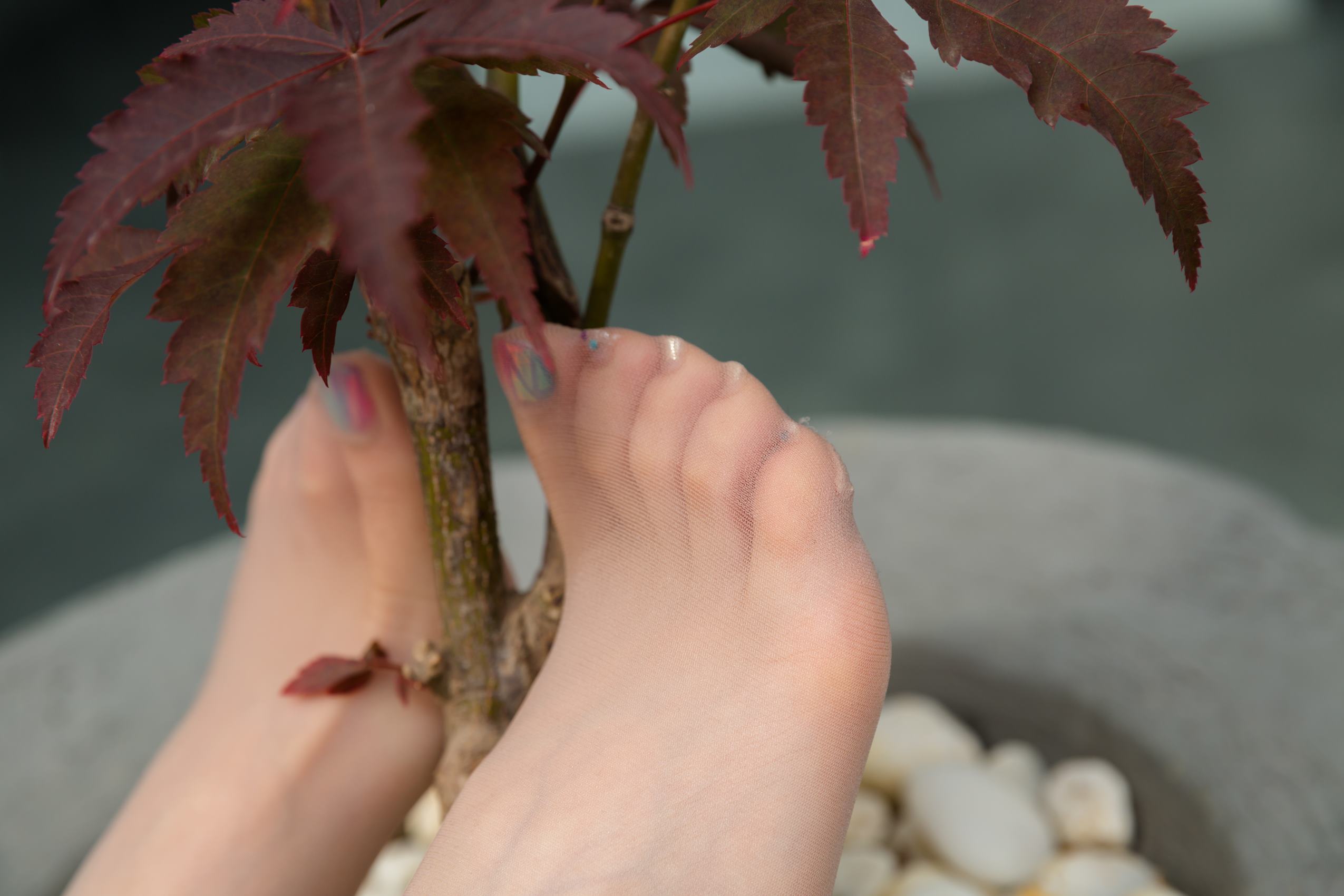 图片[65]-网紅Coser@Sia不吃鱼 纯白超短裙 [117P] – 速更版-美库