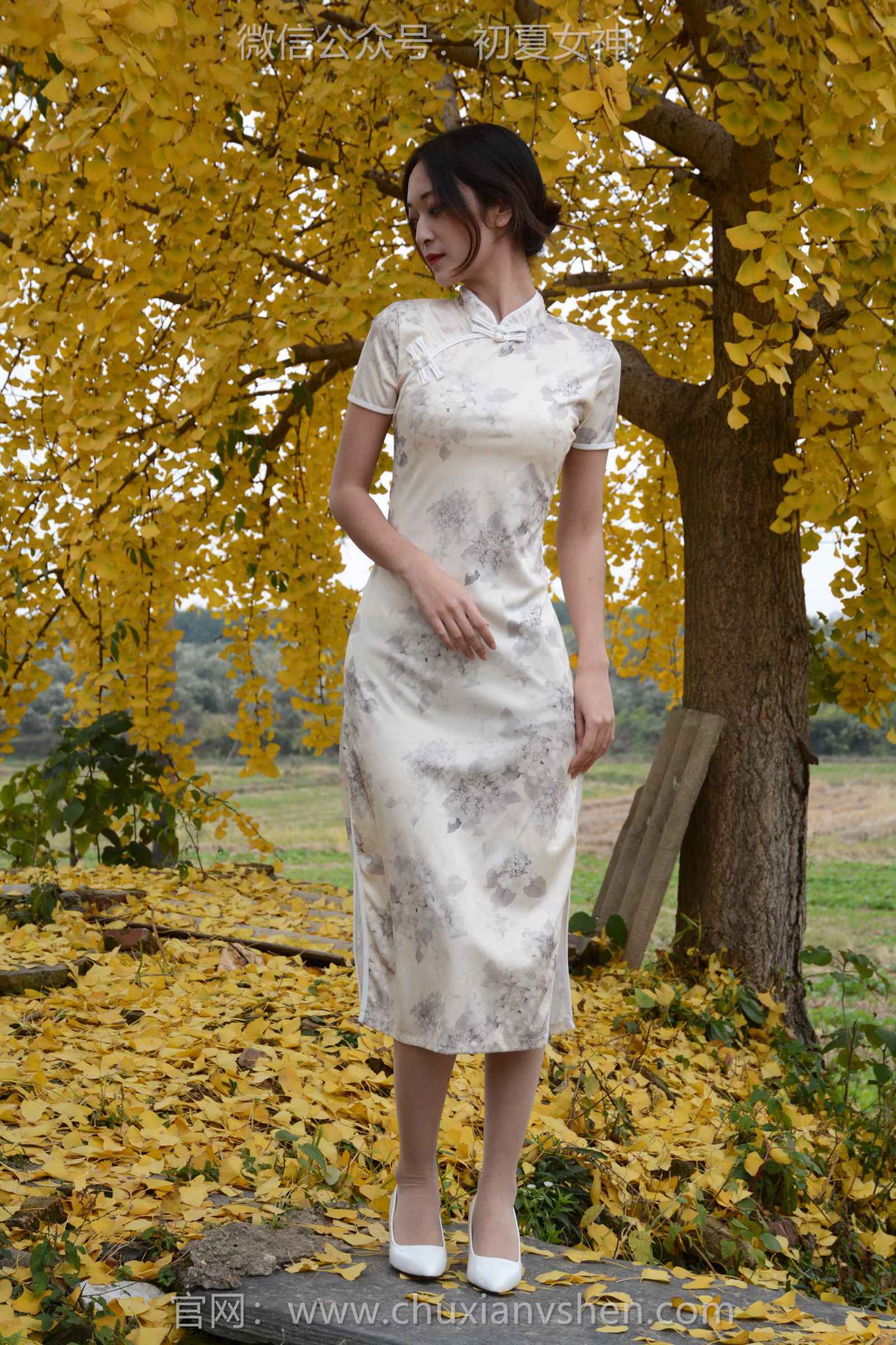 图片[12]-初夏女神 NO.129 依依 寒冬旗袍风[140P] – 速更版-美库