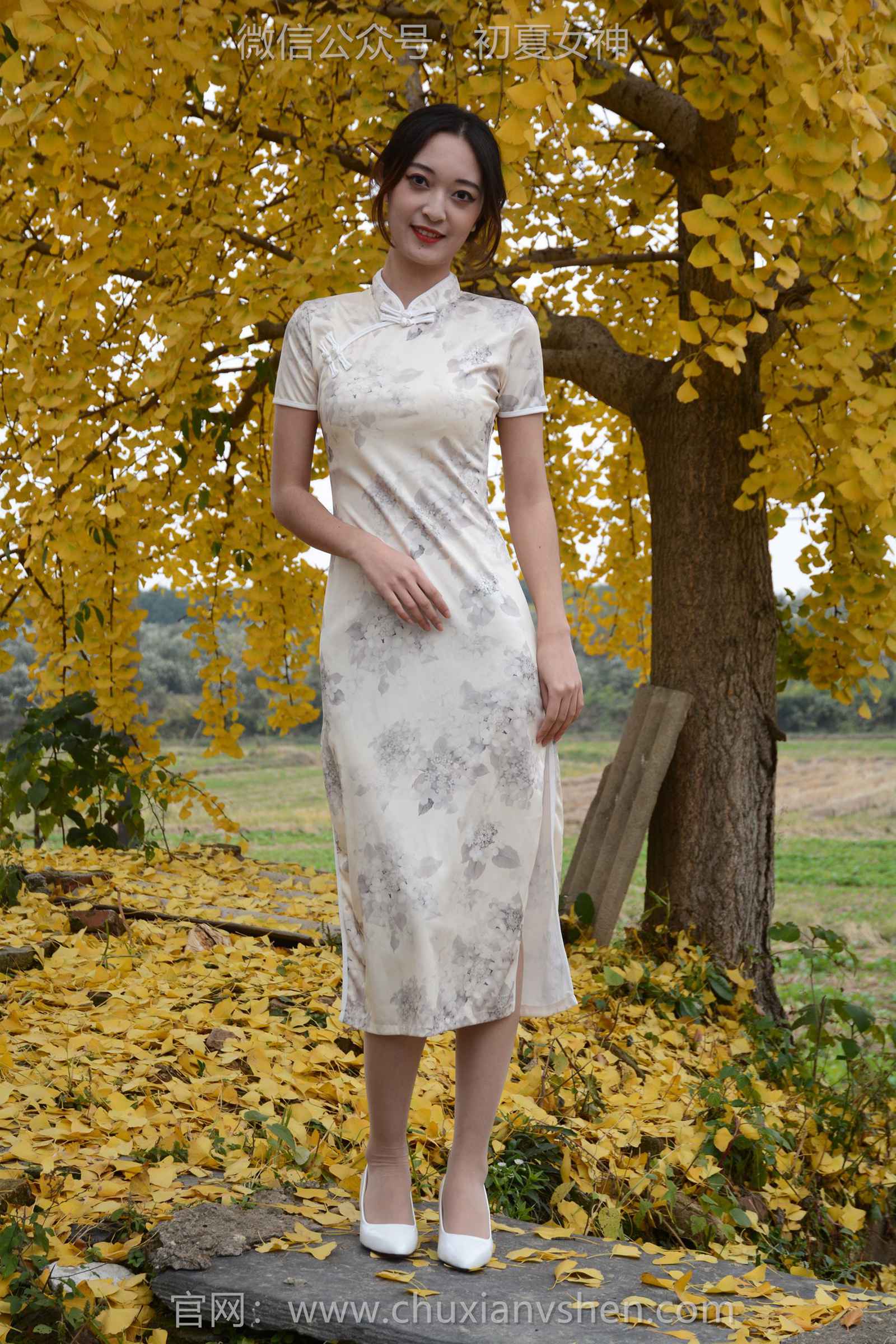 图片[14]-初夏女神 NO.129 依依 寒冬旗袍风[140P] – 速更版-美库