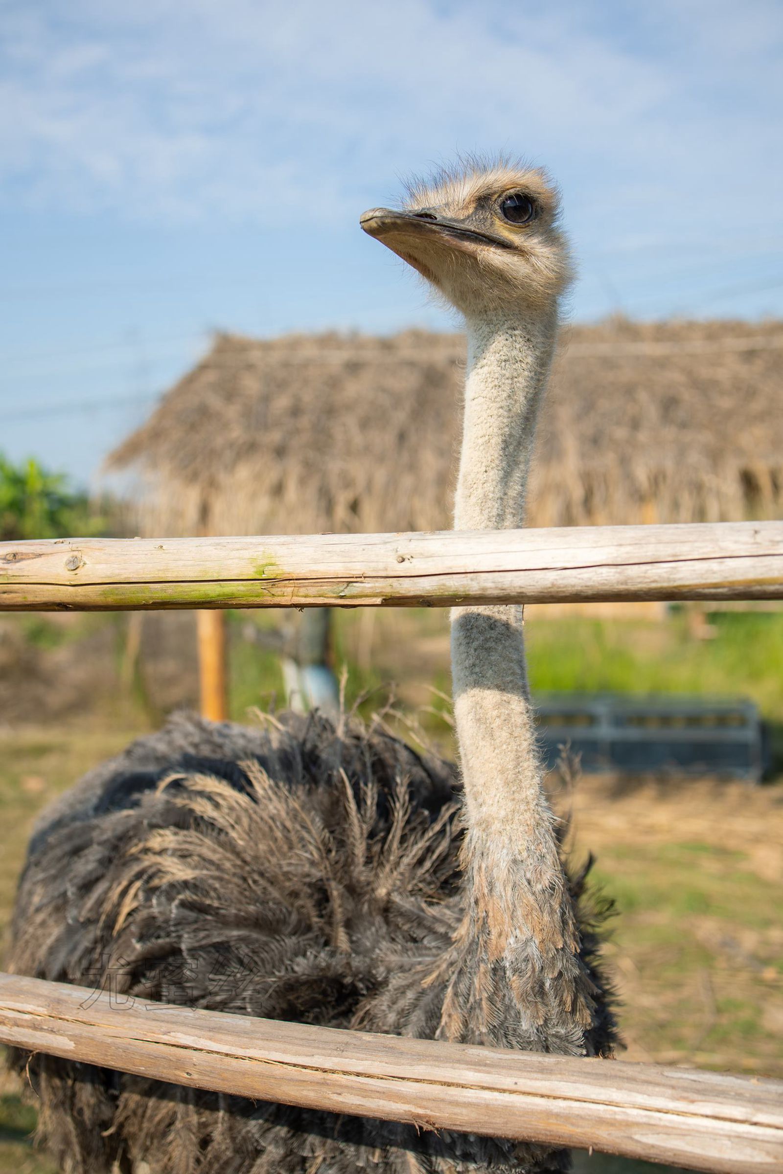 图片[25]-尤蜜丝 NO.086 穿搭推广展示图集[76P] – 速更版-美库