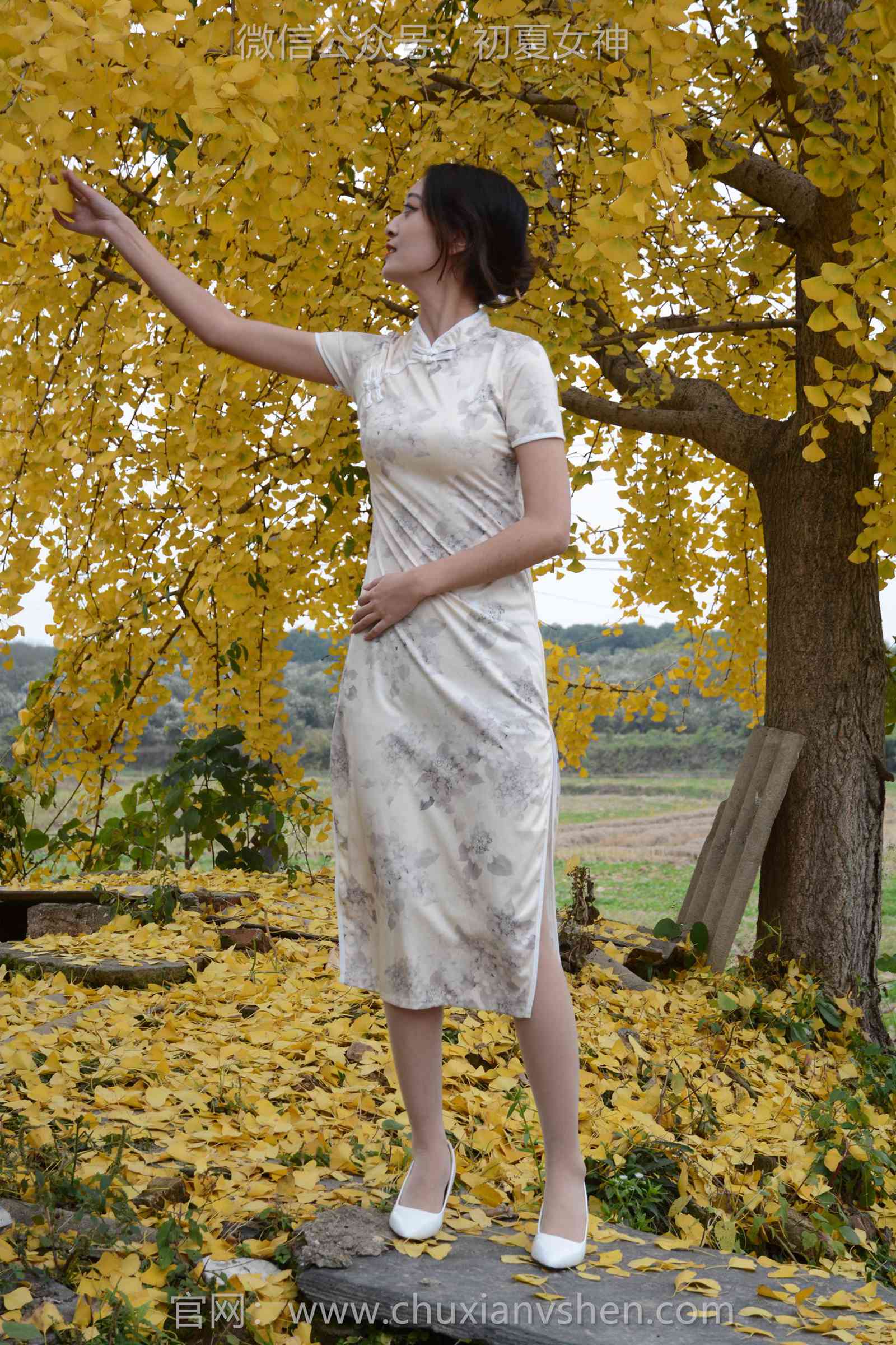 图片[16]-初夏女神 NO.129 依依 寒冬旗袍风[140P] – 速更版-美库