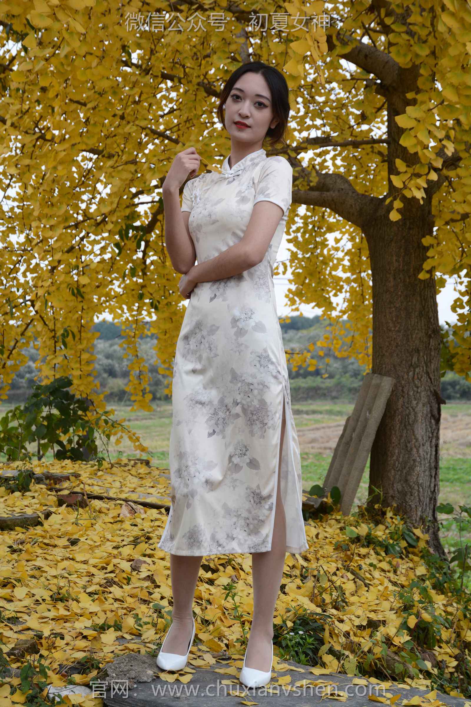 图片[17]-初夏女神 NO.129 依依 寒冬旗袍风[140P] – 速更版-美库