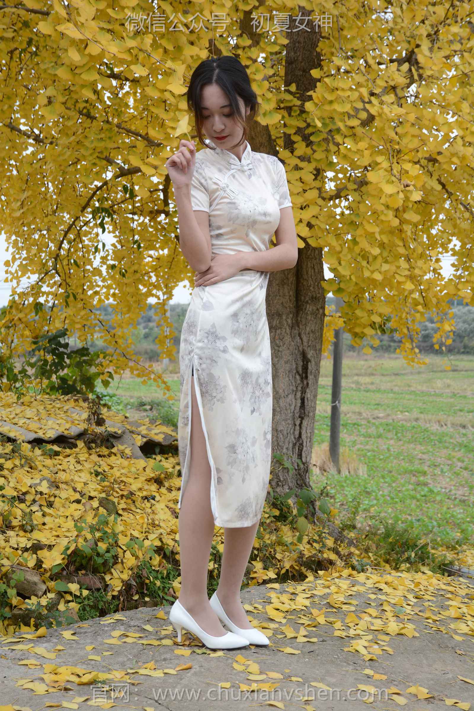 图片[21]-初夏女神 NO.129 依依 寒冬旗袍风[140P] – 速更版-美库