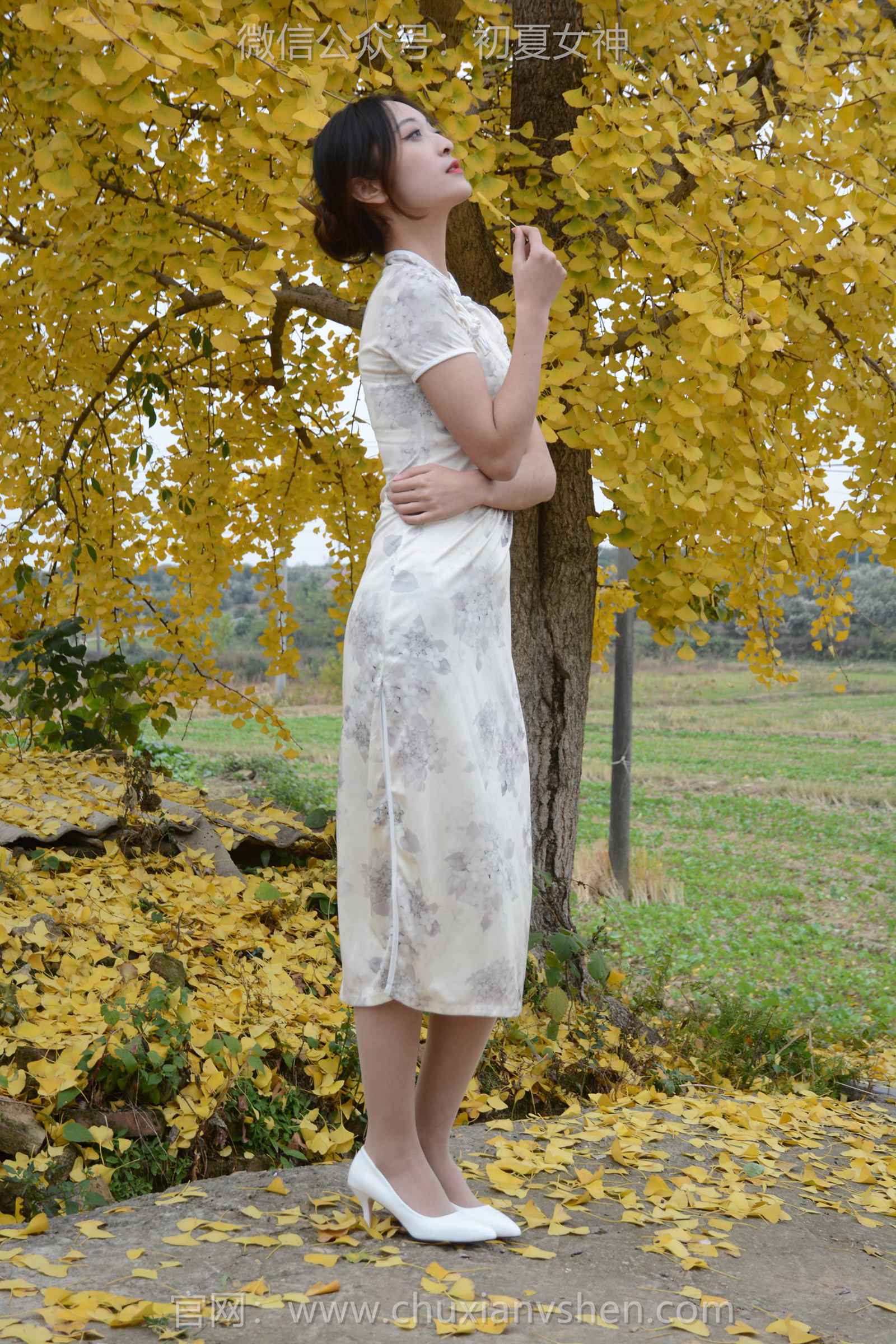 图片[23]-初夏女神 NO.129 依依 寒冬旗袍风[140P] – 速更版-美库