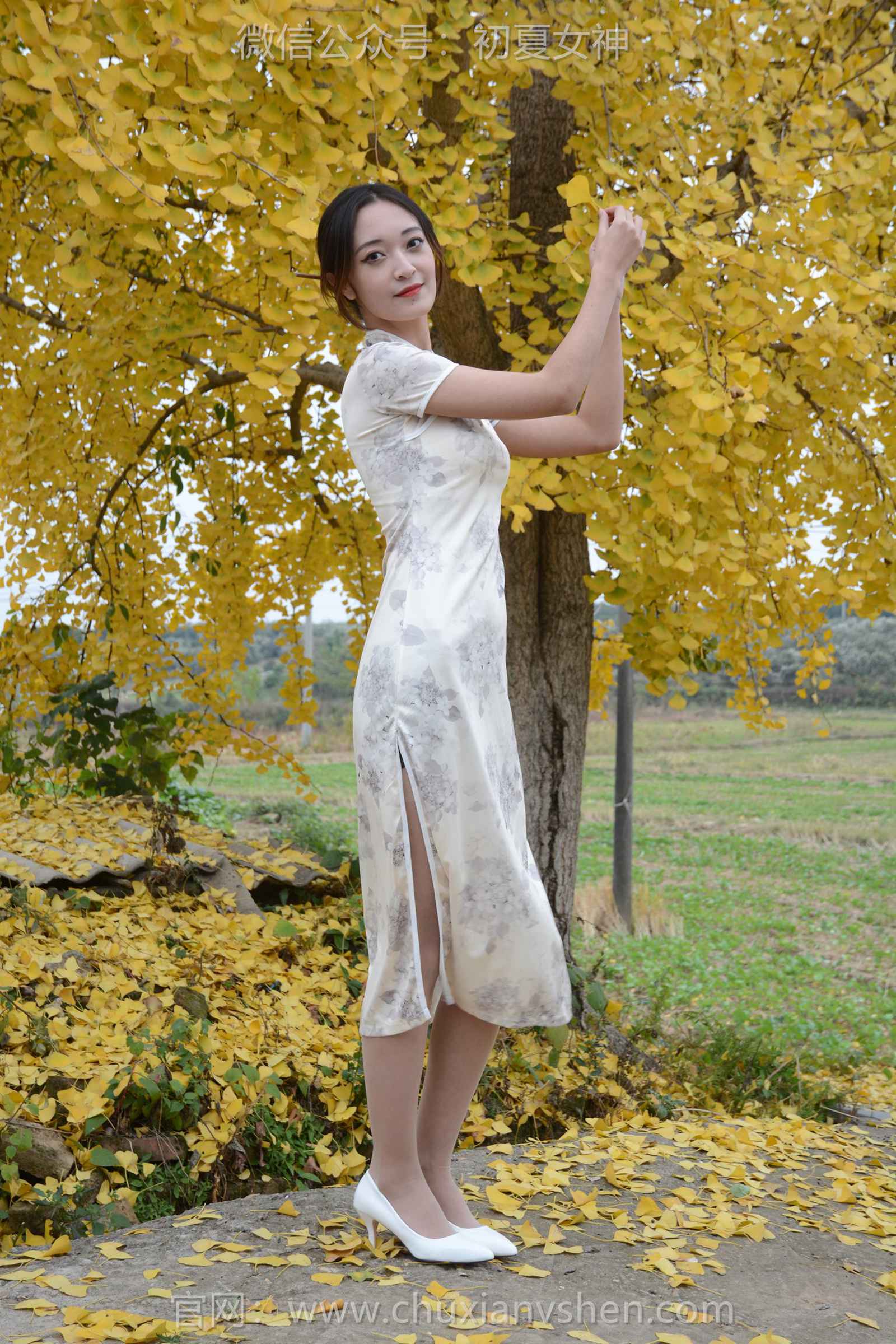 图片[24]-初夏女神 NO.129 依依 寒冬旗袍风[140P] – 速更版-美库