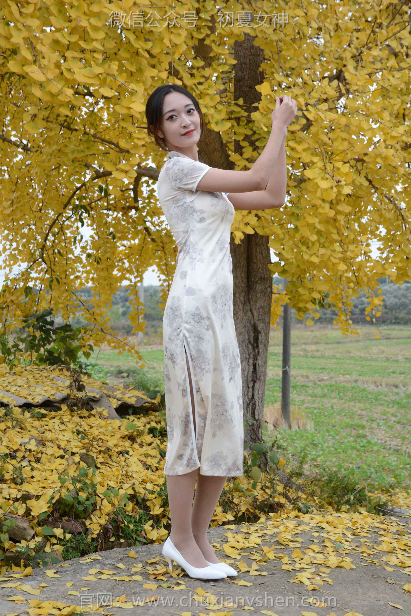 图片[25]-初夏女神 NO.129 依依 寒冬旗袍风[140P] – 速更版-美库