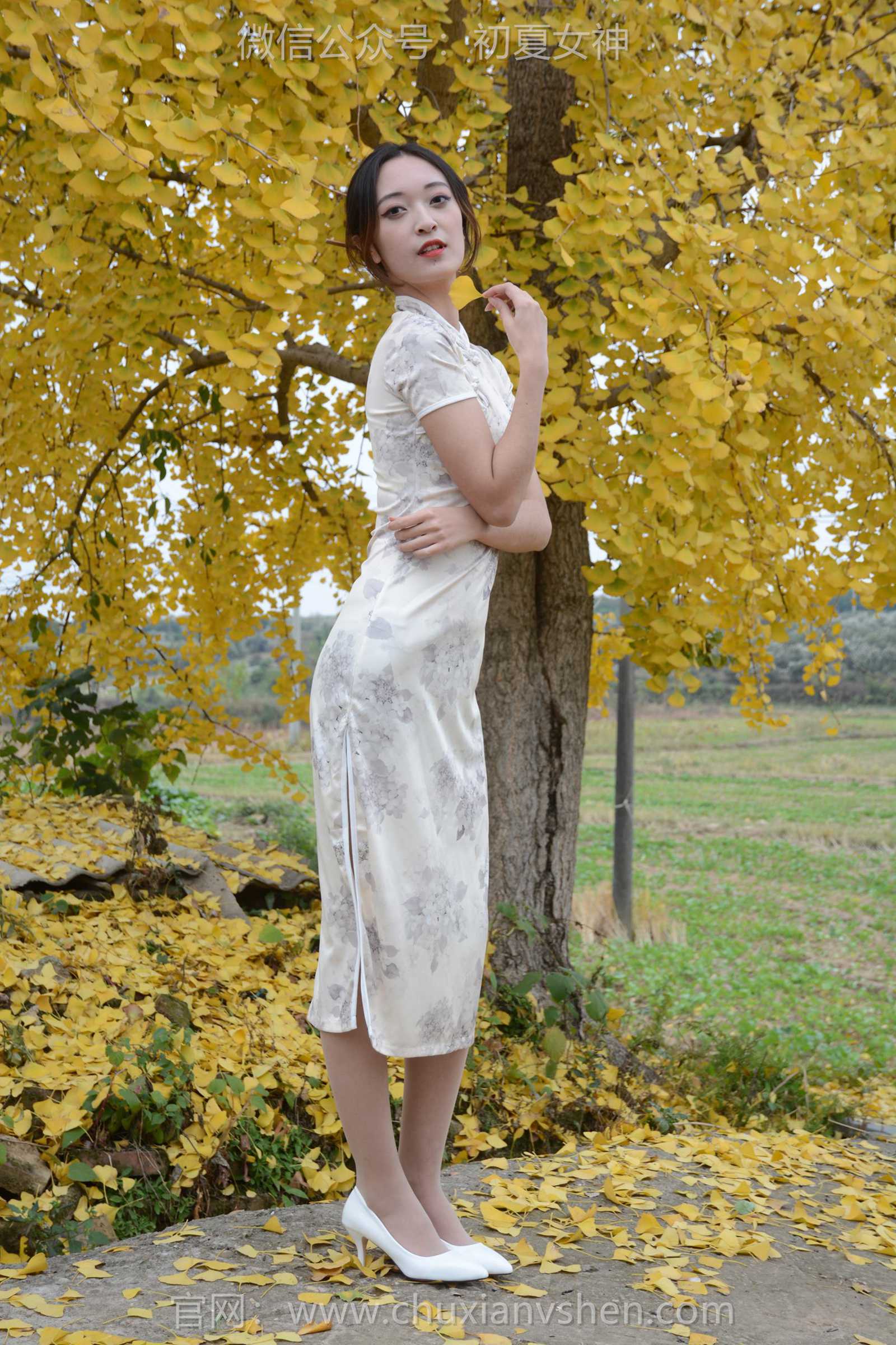 图片[26]-初夏女神 NO.129 依依 寒冬旗袍风[140P] – 速更版-美库