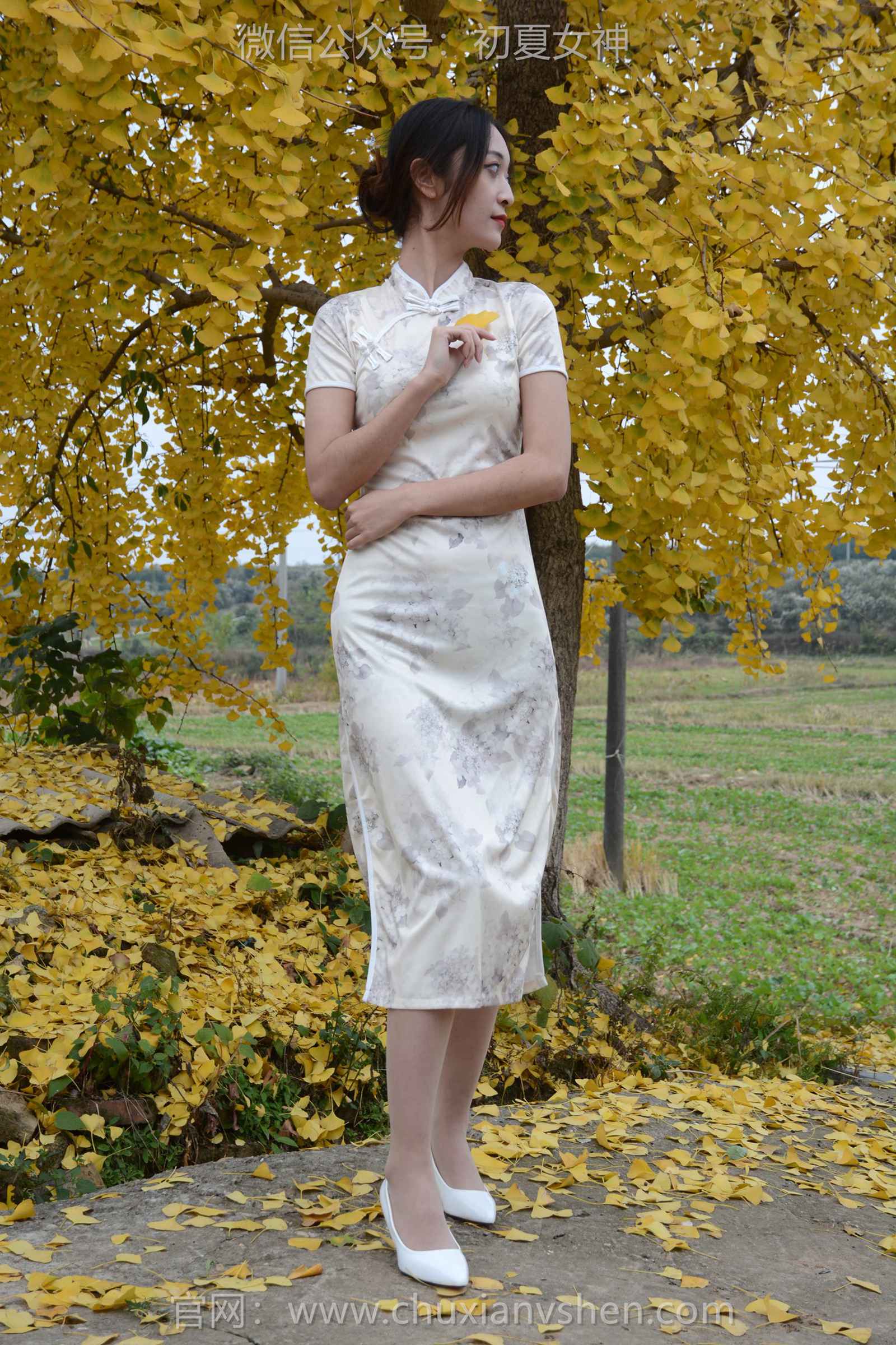 图片[27]-初夏女神 NO.129 依依 寒冬旗袍风[140P] – 速更版-美库