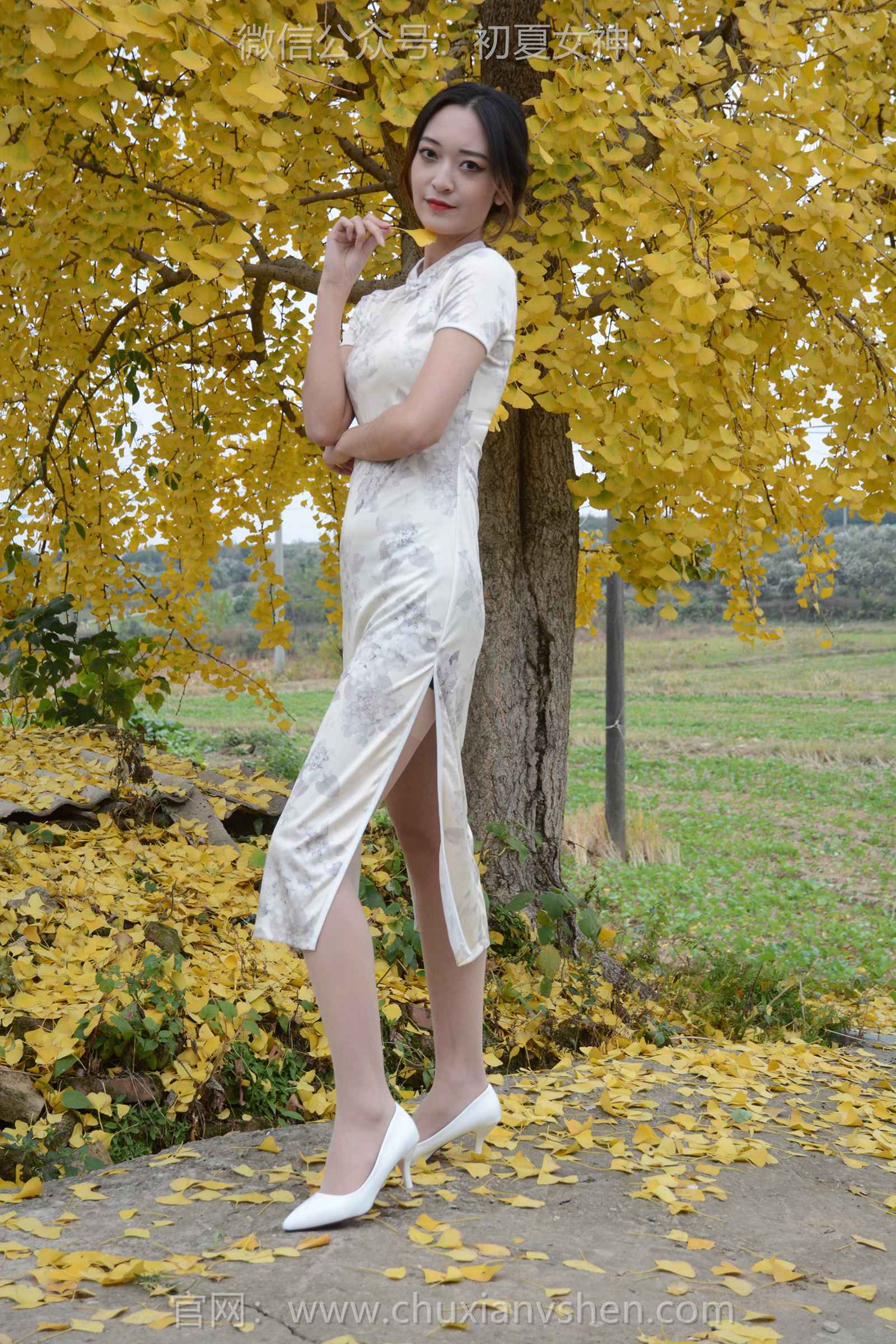 图片[28]-初夏女神 NO.129 依依 寒冬旗袍风[140P] – 速更版-美库