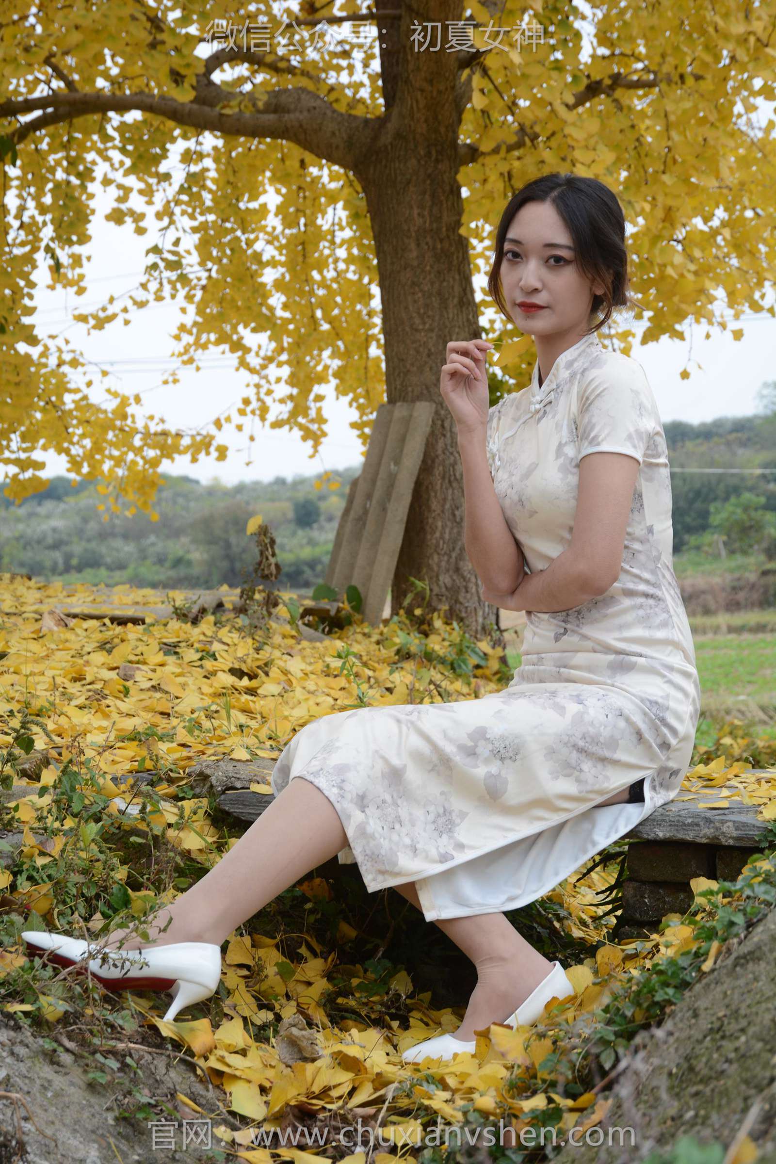 图片[34]-初夏女神 NO.129 依依 寒冬旗袍风[140P] – 速更版-美库