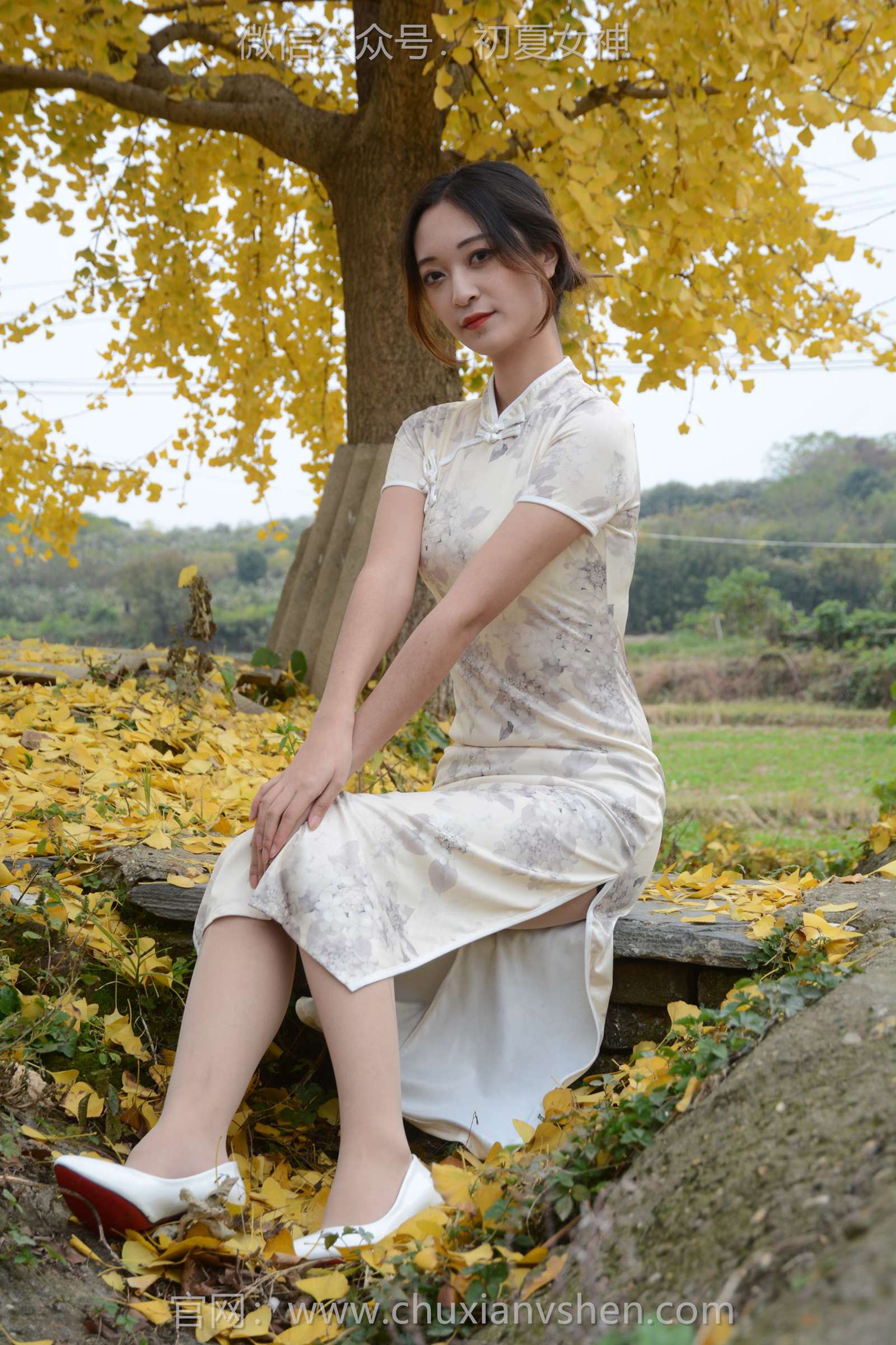 图片[36]-初夏女神 NO.129 依依 寒冬旗袍风[140P] – 速更版-美库