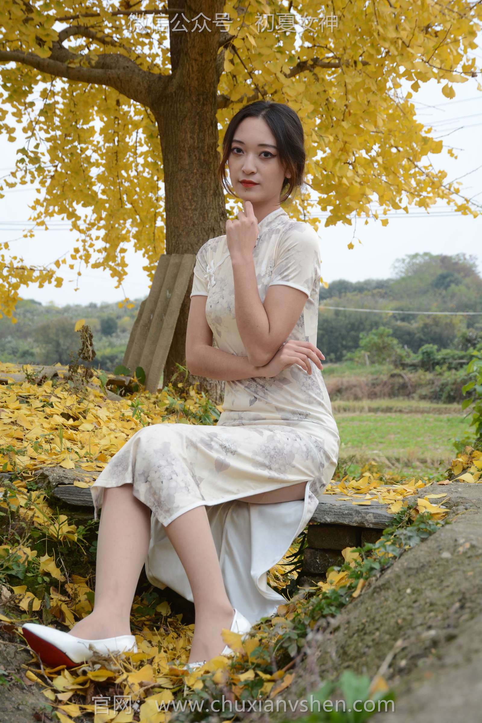 图片[41]-初夏女神 NO.129 依依 寒冬旗袍风[140P] – 速更版-美库