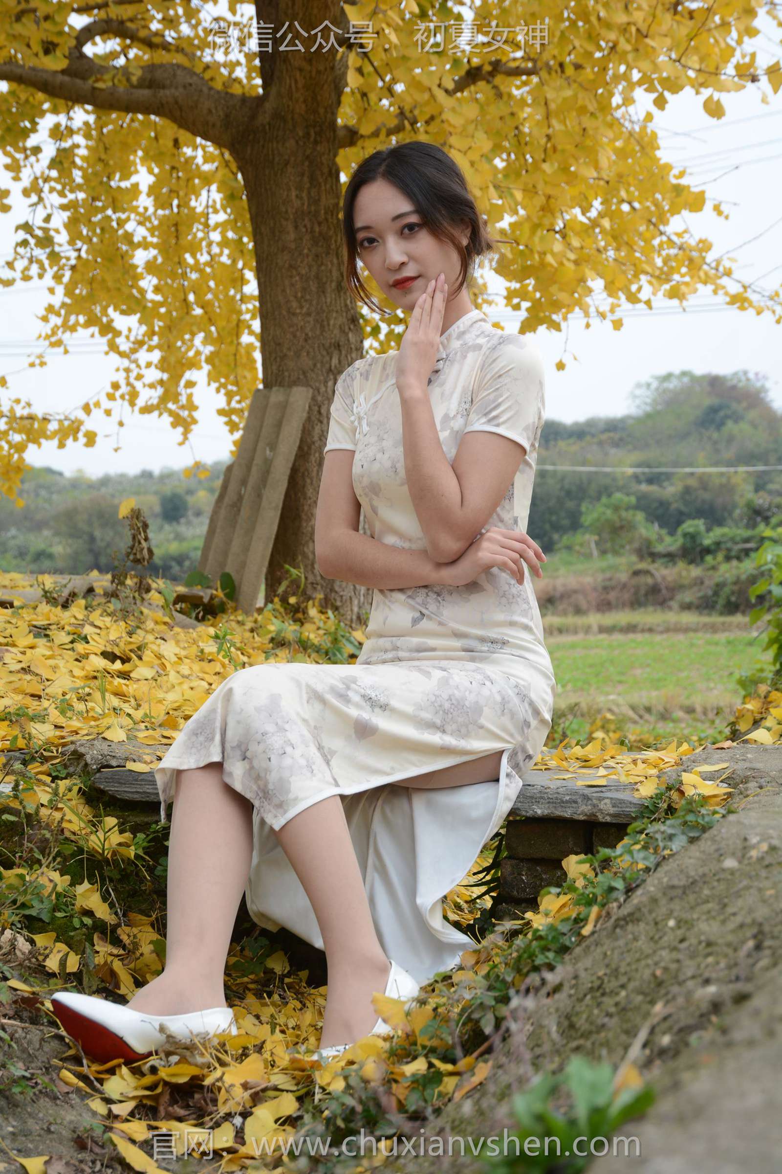 图片[43]-初夏女神 NO.129 依依 寒冬旗袍风[140P] – 速更版-美库