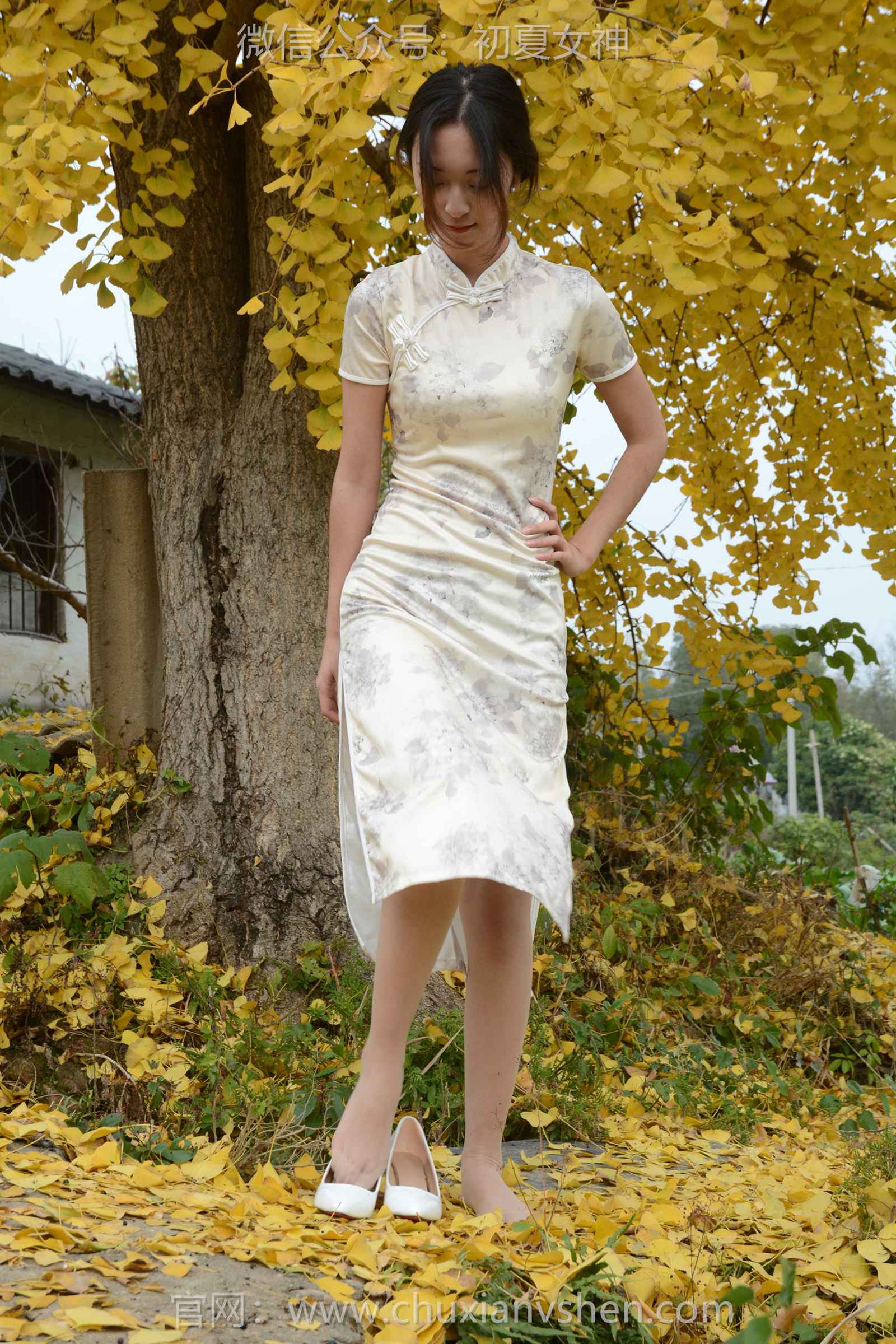 图片[64]-初夏女神 NO.129 依依 寒冬旗袍风[140P] – 速更版-美库