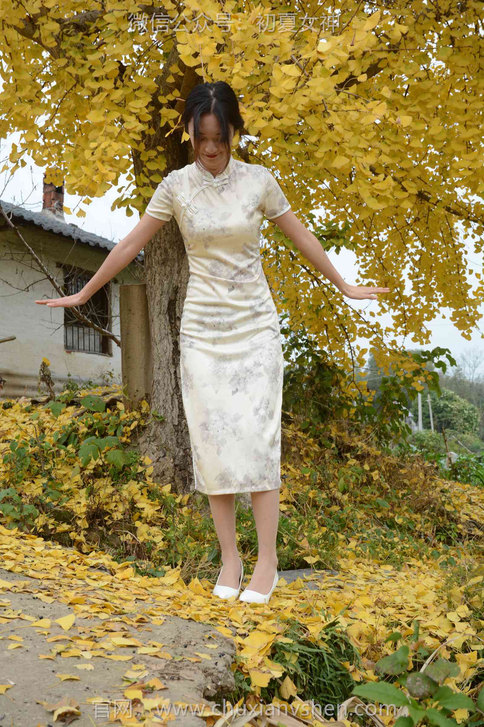 图片[66]-初夏女神 NO.129 依依 寒冬旗袍风[140P] – 速更版-美库