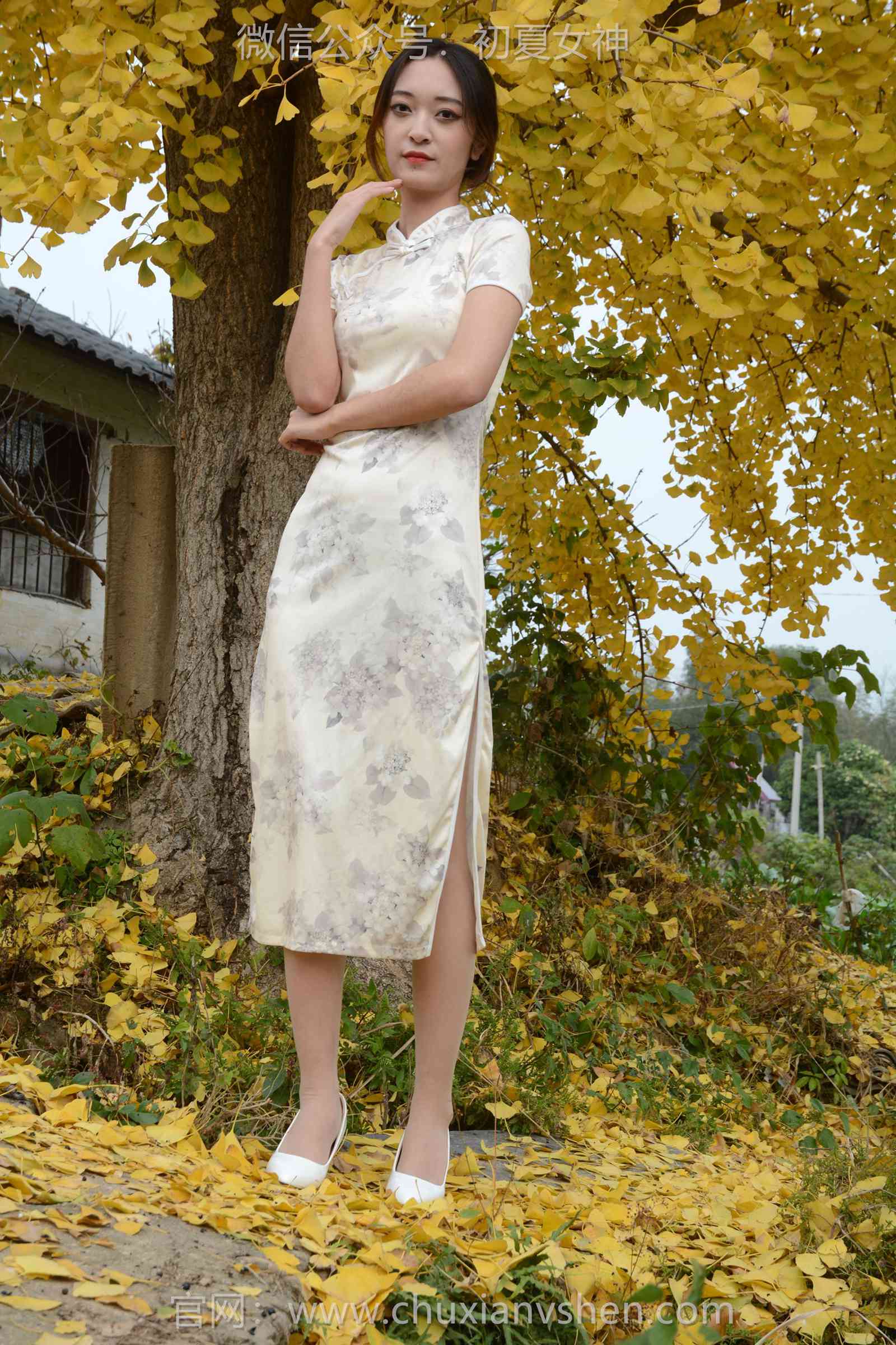 图片[67]-初夏女神 NO.129 依依 寒冬旗袍风[140P] – 速更版-美库