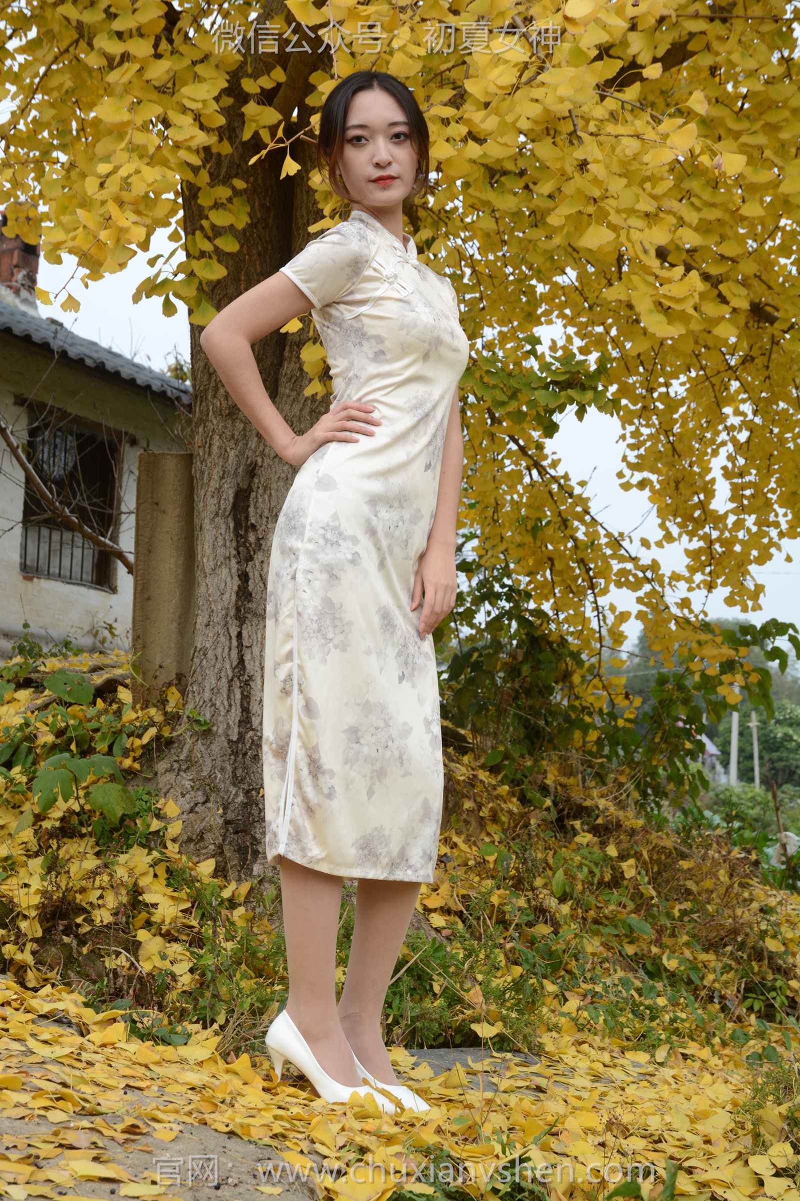 图片[68]-初夏女神 NO.129 依依 寒冬旗袍风[140P] – 速更版-美库