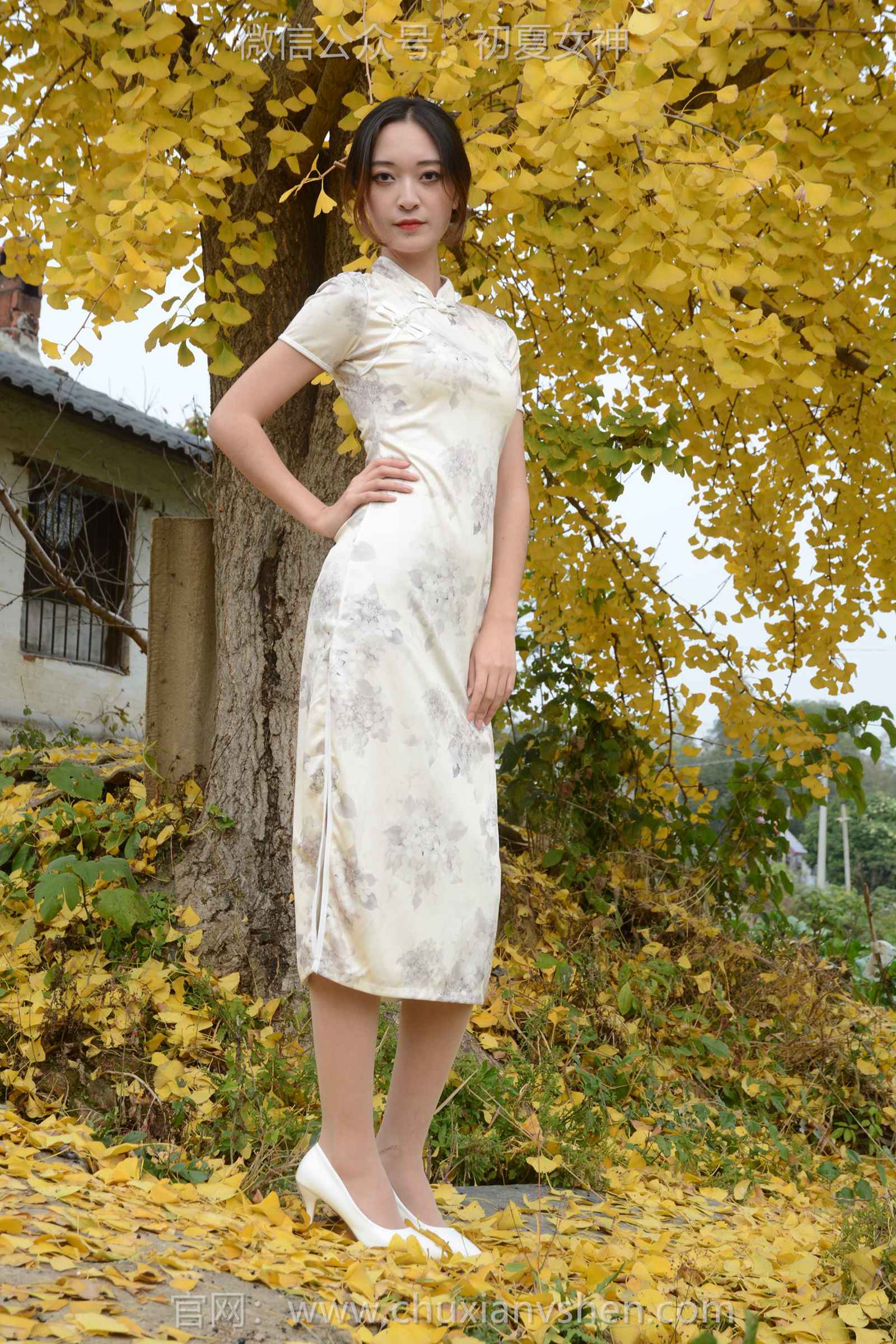 图片[69]-初夏女神 NO.129 依依 寒冬旗袍风[140P] – 速更版-美库