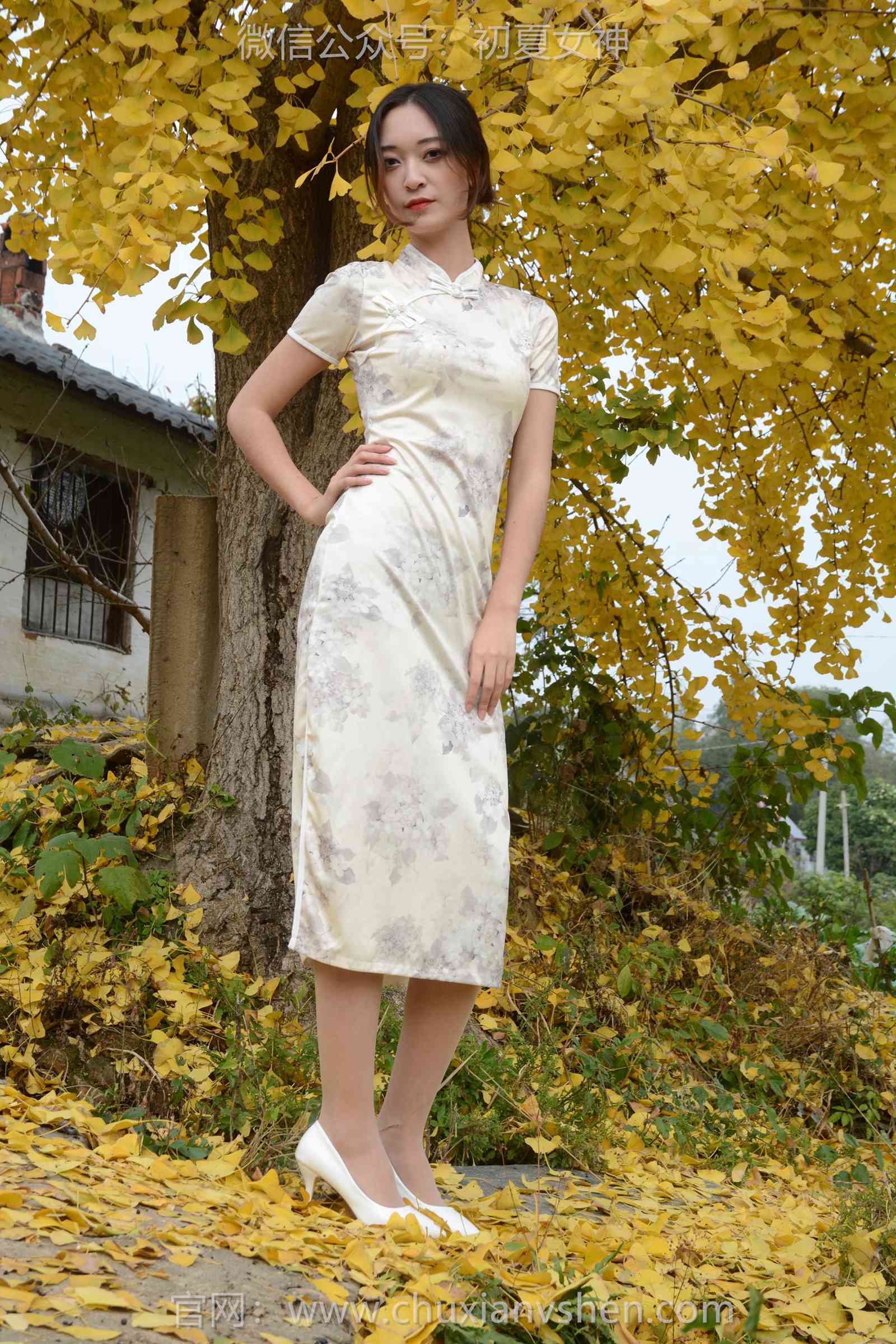 图片[70]-初夏女神 NO.129 依依 寒冬旗袍风[140P] – 速更版-美库