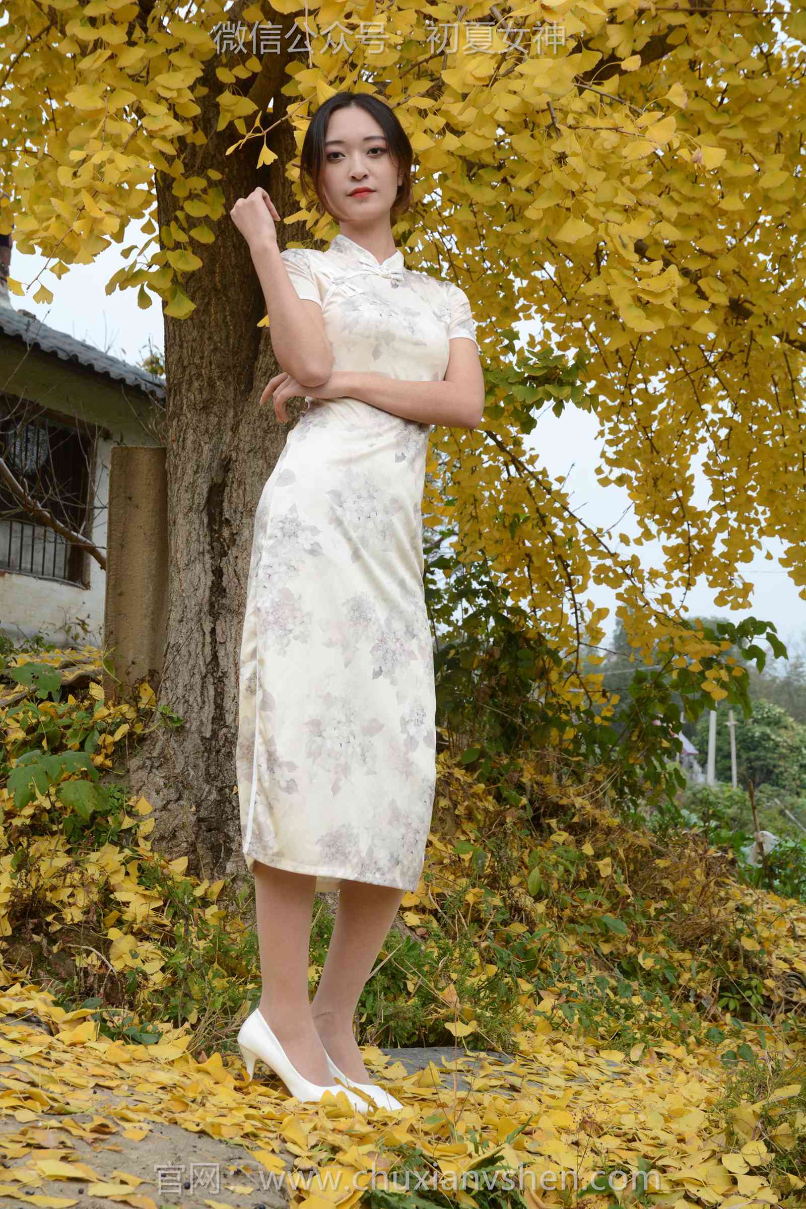 图片[71]-初夏女神 NO.129 依依 寒冬旗袍风[140P] – 速更版-美库
