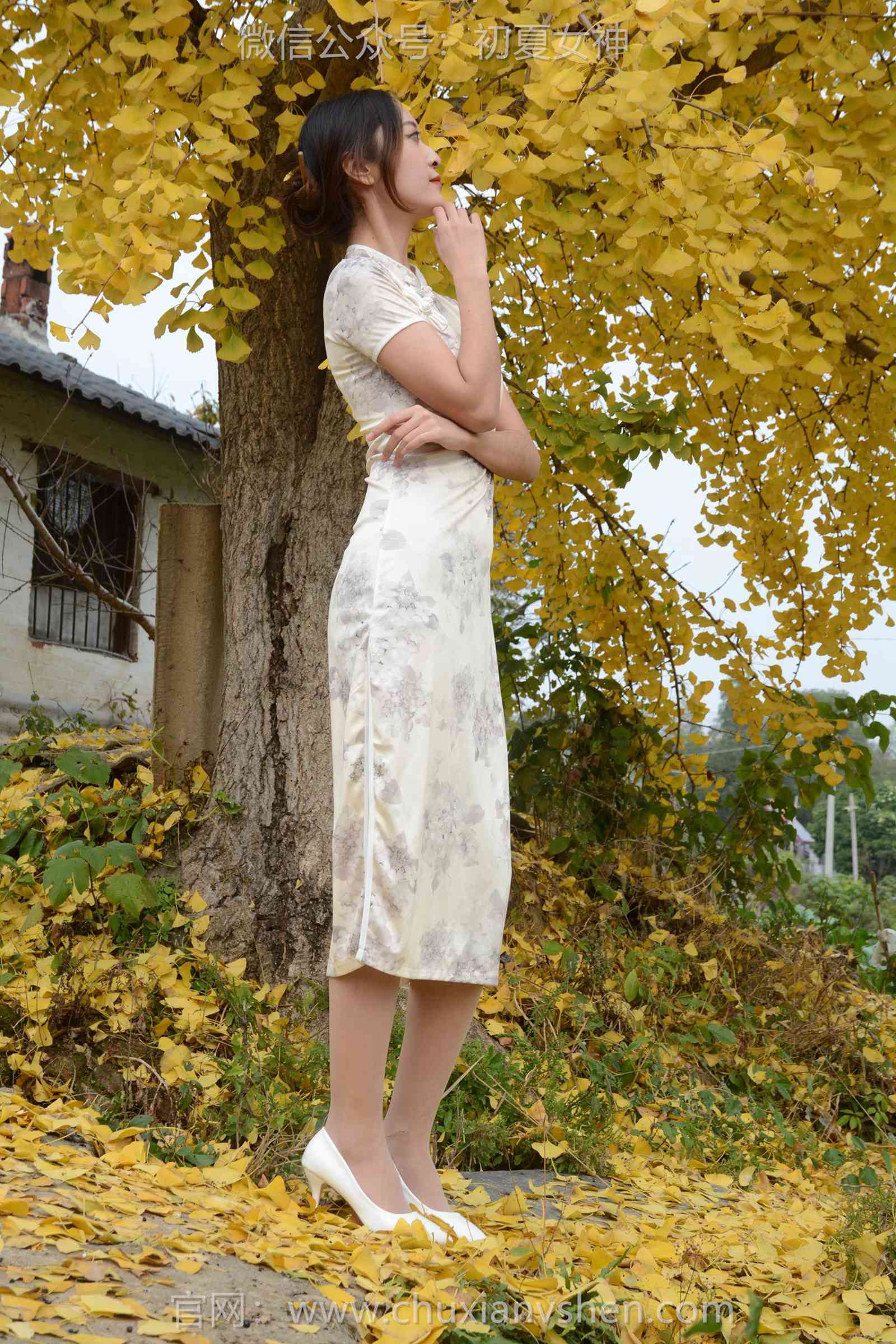 图片[72]-初夏女神 NO.129 依依 寒冬旗袍风[140P] – 速更版-美库