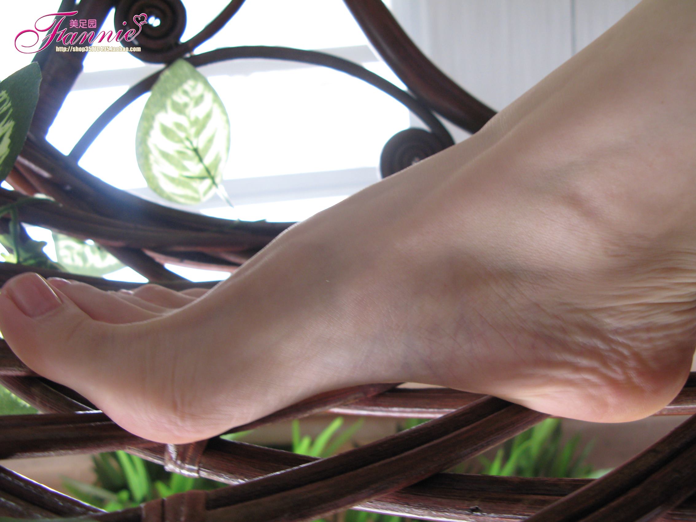 图片[18]-Fannie芬妮每足园 No.458 温柔的接触[70P] – 速更版-美库