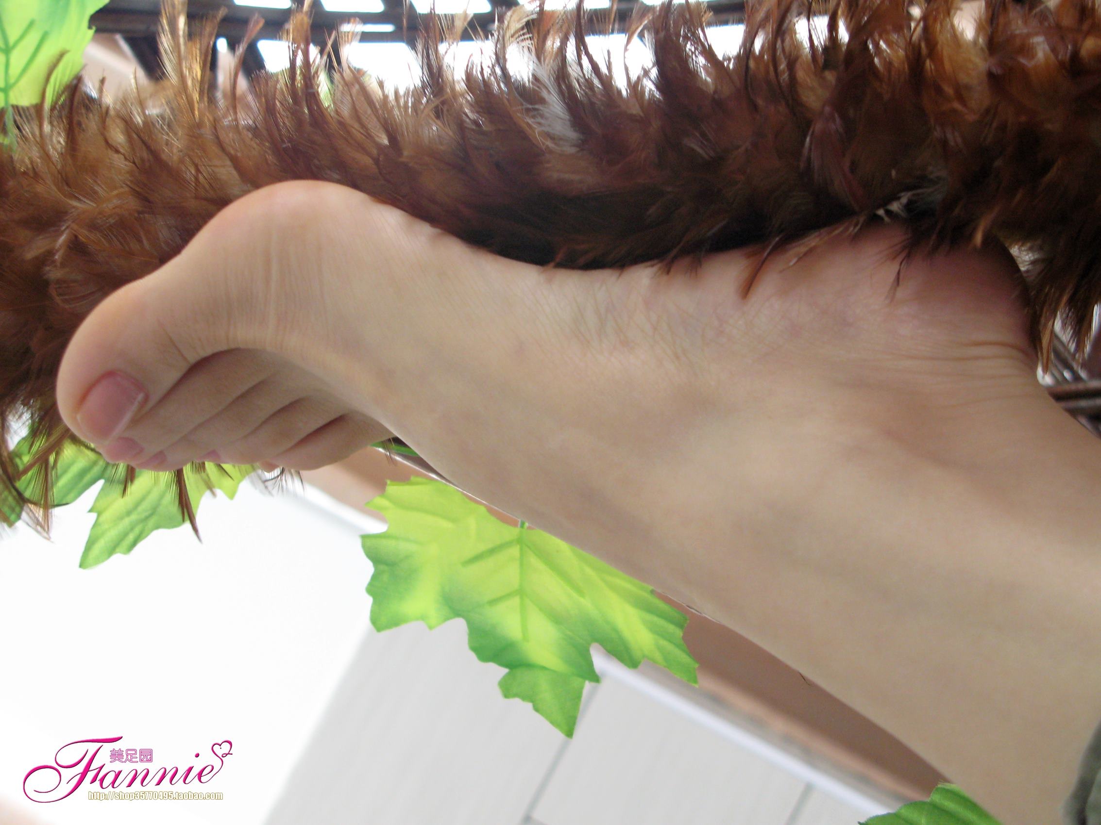 图片[43]-Fannie芬妮每足园 No.458 温柔的接触[70P] – 速更版-美库