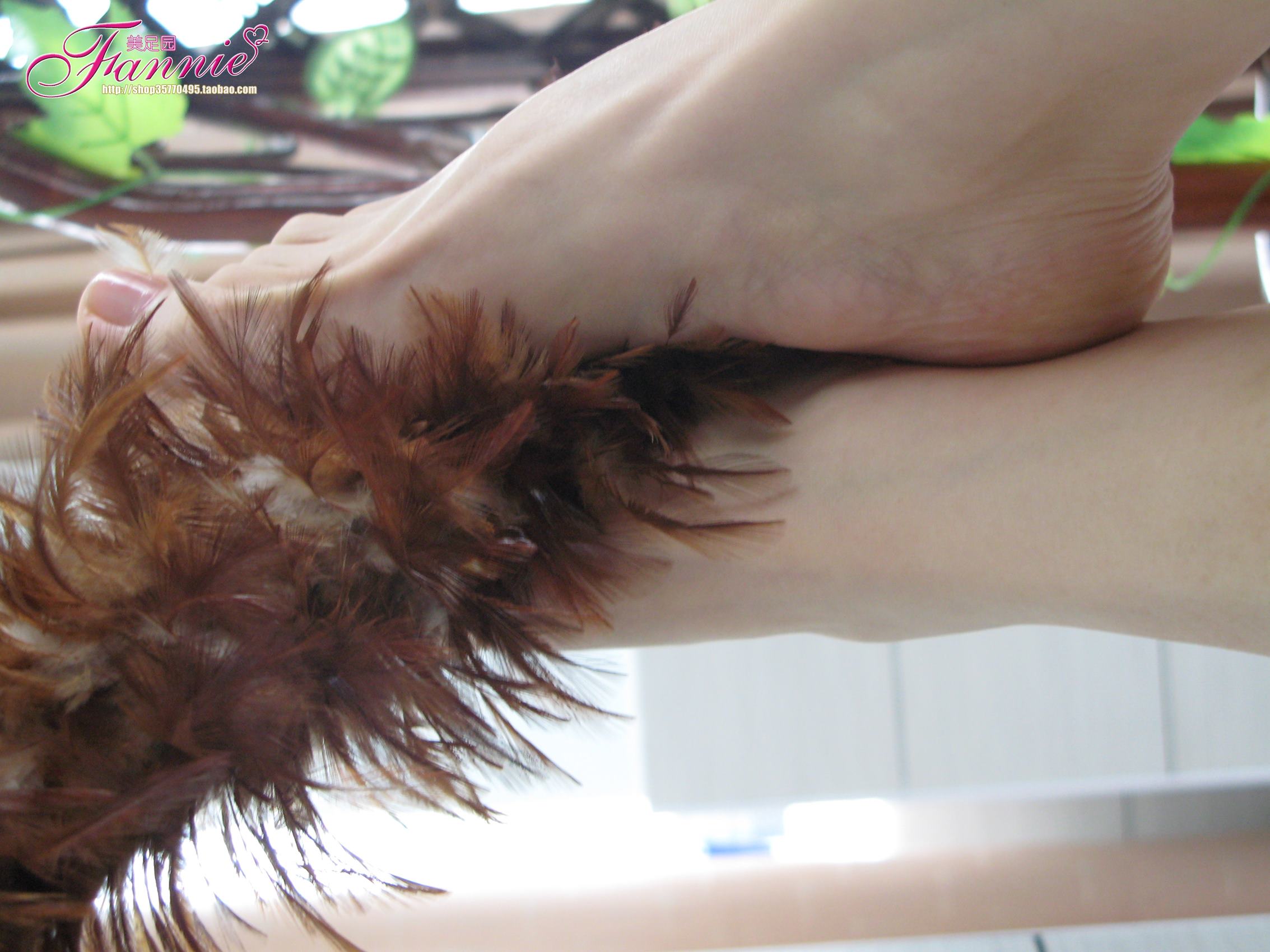 图片[50]-Fannie芬妮每足园 No.458 温柔的接触[70P] – 速更版-美库