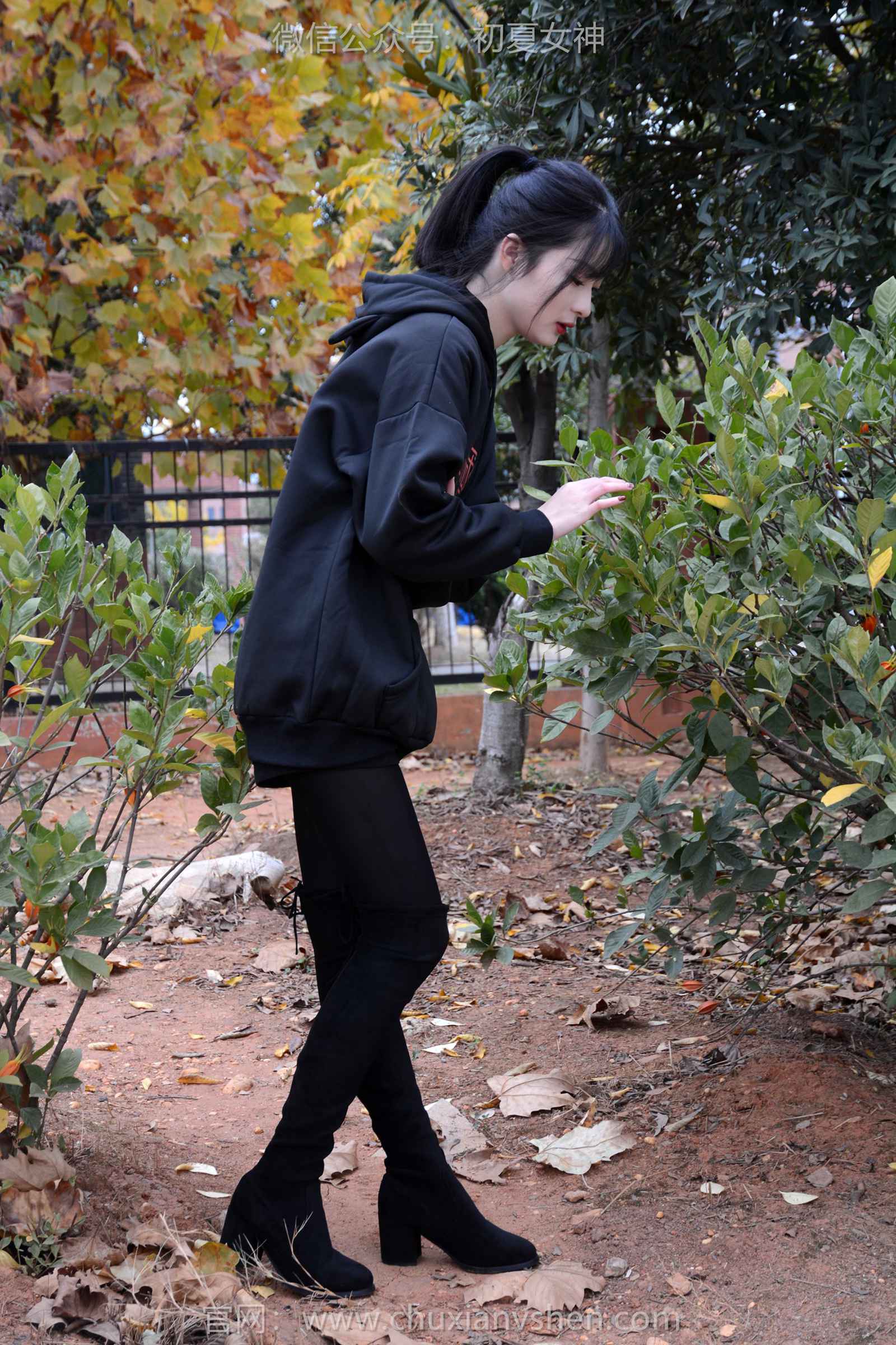 图片[17]-初夏女神 NO.132 安妮 浅看红枫[120P] – 速更版-美库