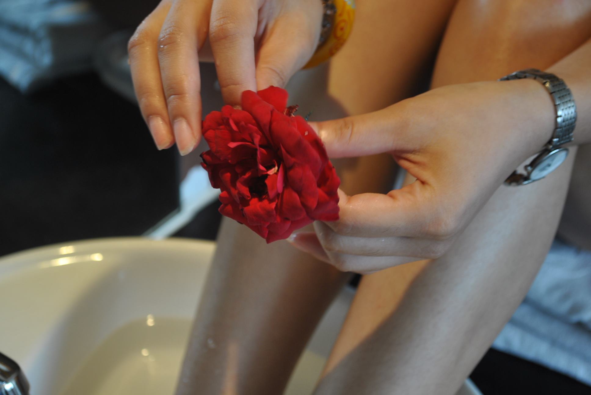 图片[10]-自由摄影 No.221 玫瑰带刺 [37P] – 速更版-美库