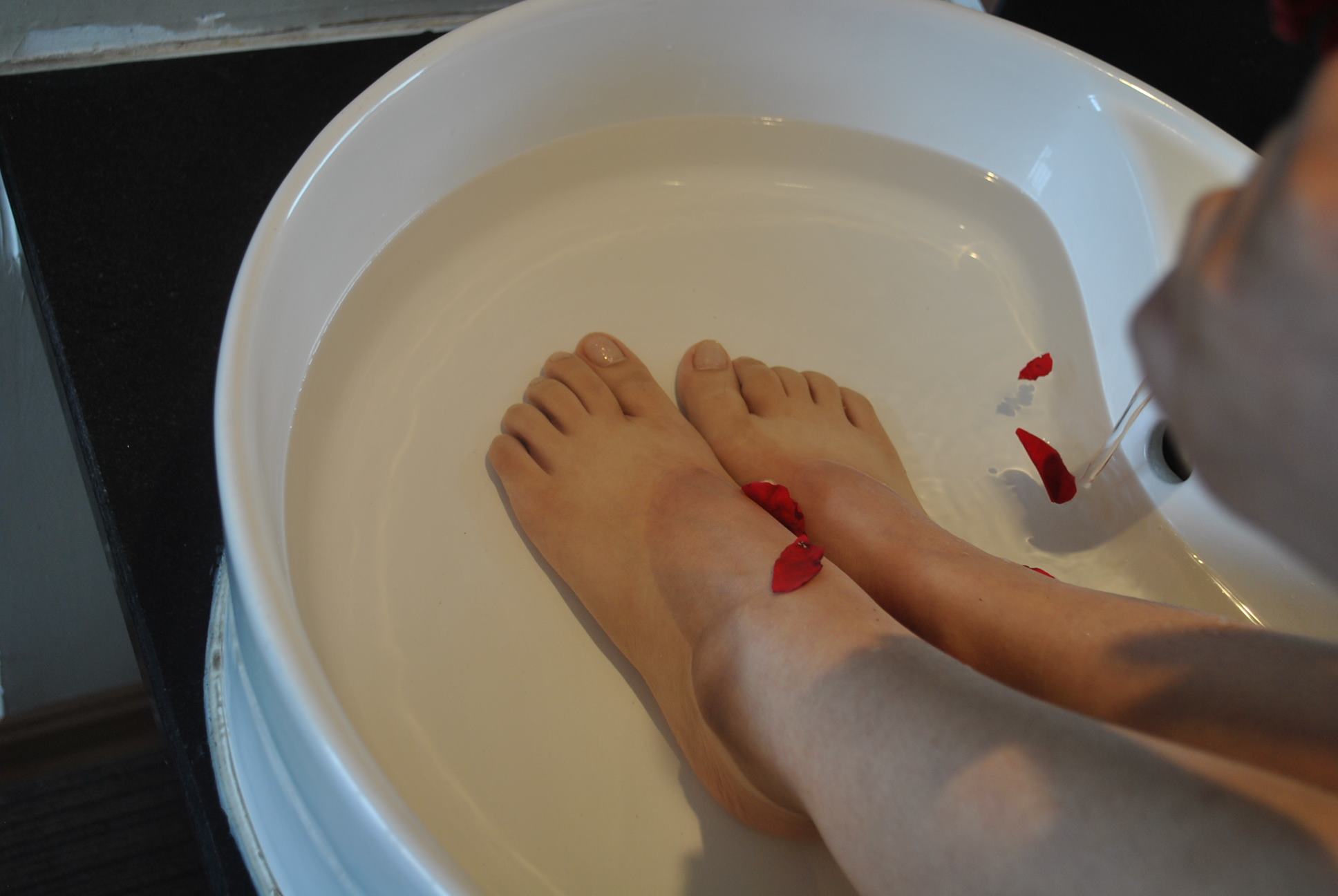 图片[13]-自由摄影 No.221 玫瑰带刺 [37P] – 速更版-美库