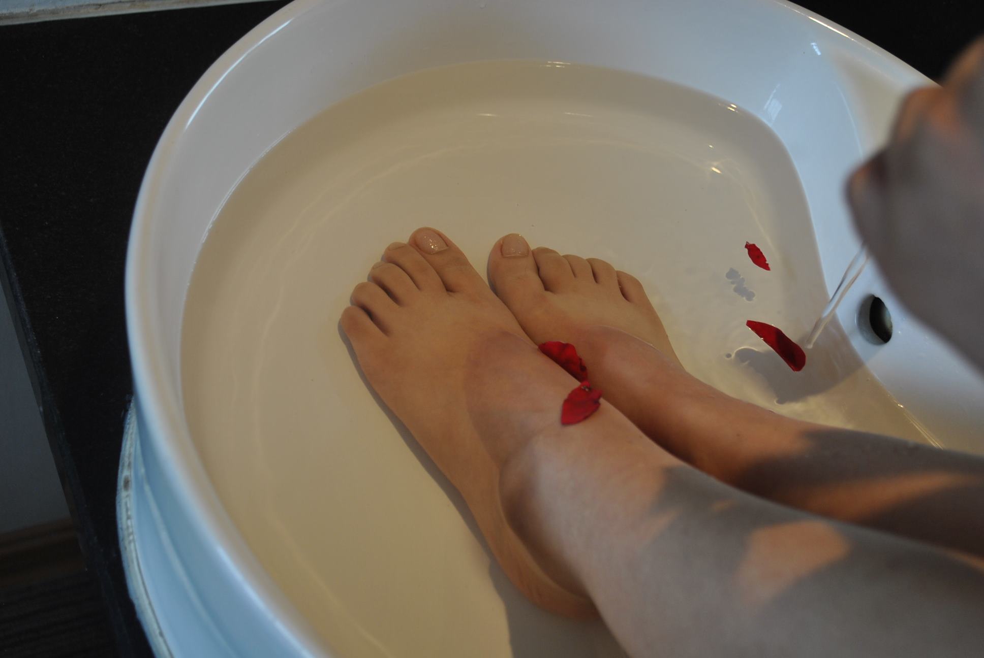 图片[14]-自由摄影 No.221 玫瑰带刺 [37P] – 速更版-美库