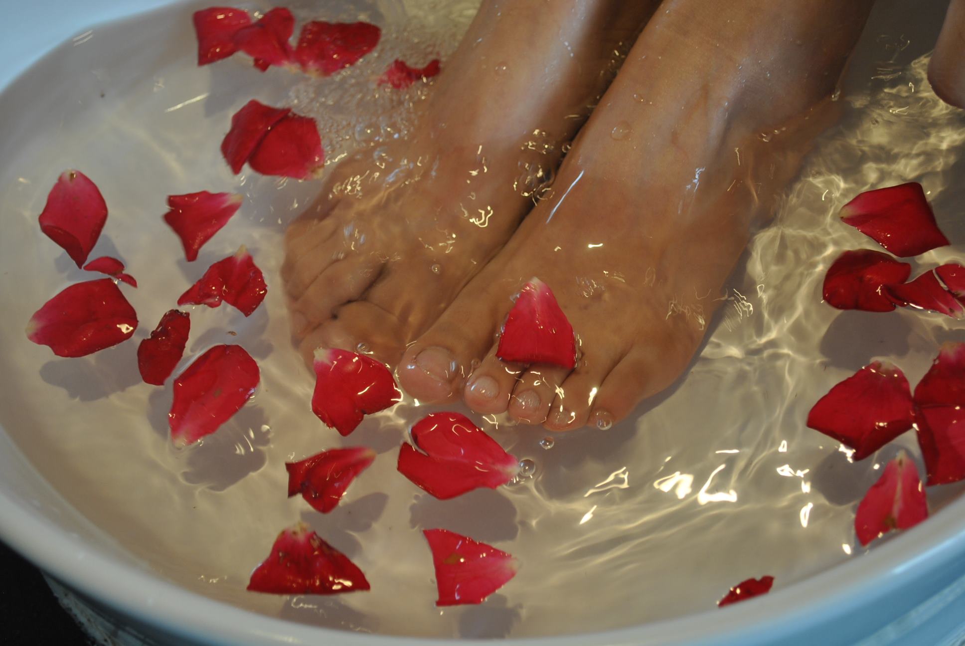 图片[21]-自由摄影 No.221 玫瑰带刺 [37P] – 速更版-美库