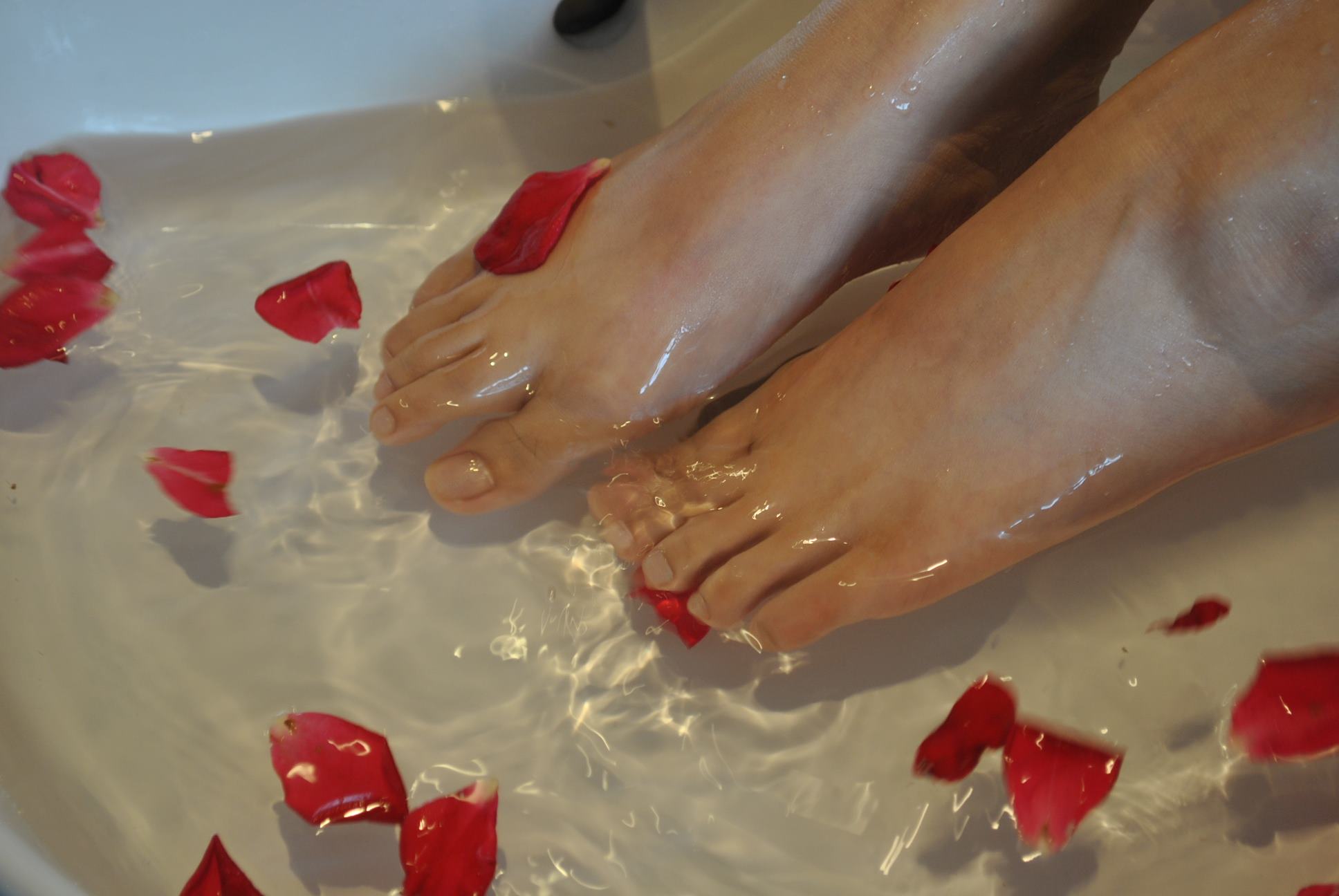 图片[23]-自由摄影 No.221 玫瑰带刺 [37P] – 速更版-美库