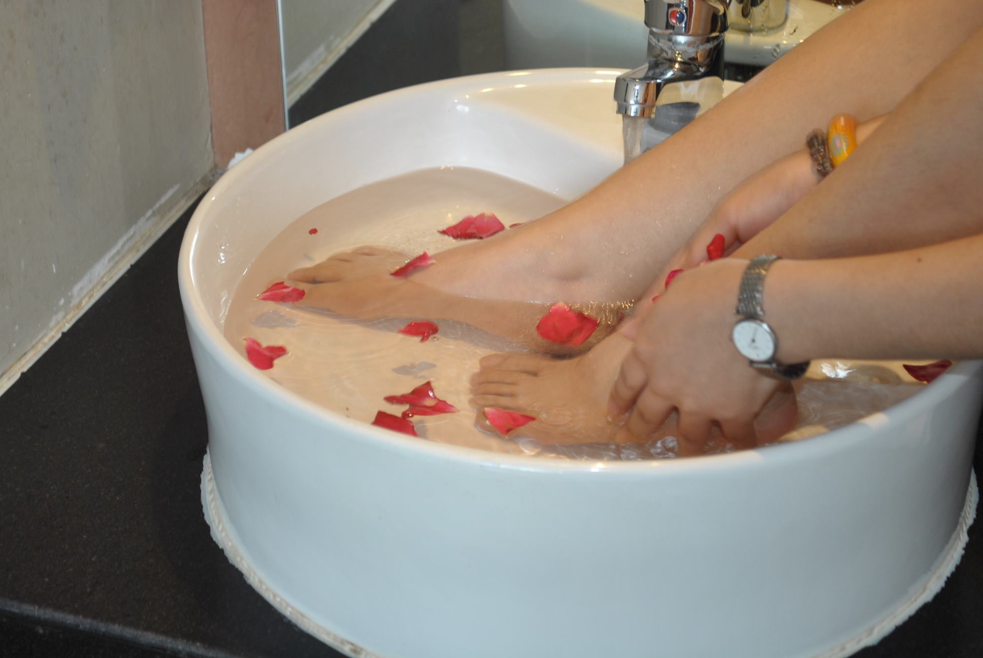 图片[30]-自由摄影 No.221 玫瑰带刺 [37P] – 速更版-美库