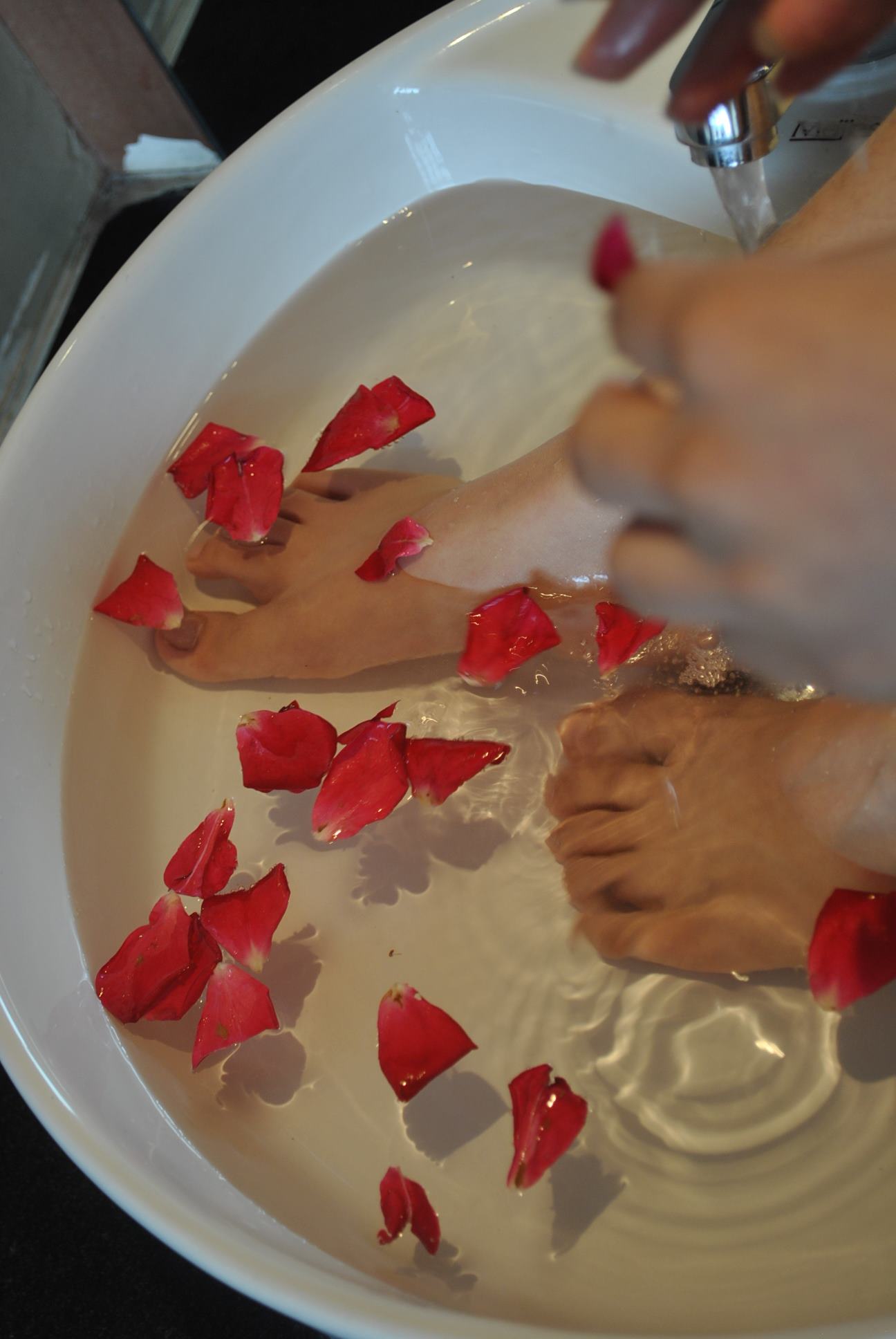 图片[31]-自由摄影 No.221 玫瑰带刺 [37P] – 速更版-美库