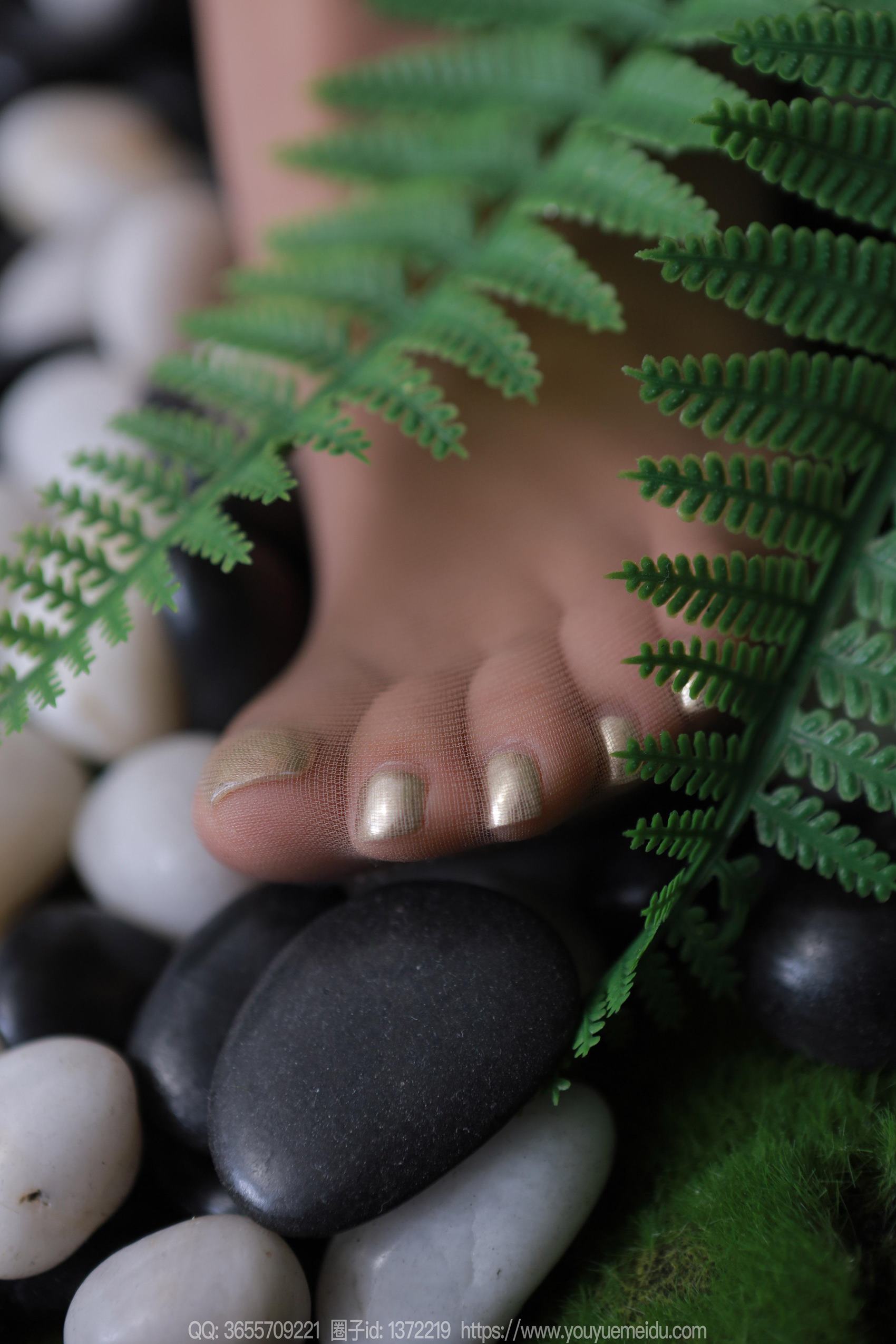 图片[36]-[IESS异思趣向] 2024.04.16 丝享家1717：婉萍《绿野仙踪》[88P] – 速更版-美库