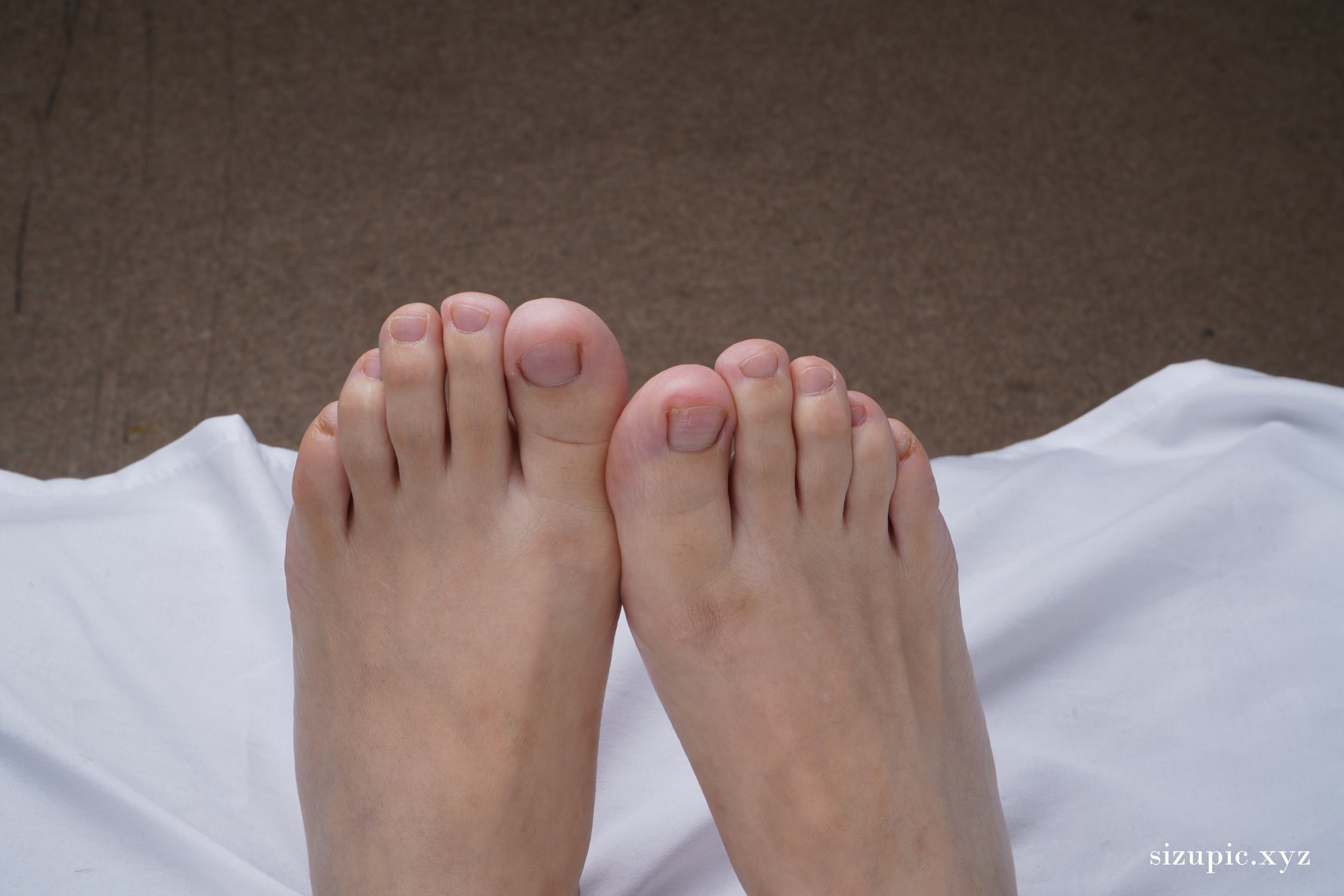 图片[54]-Pary摄影 NO.143 新模小婷的37码美脚手感非常不错[101P] – 速更版-美库