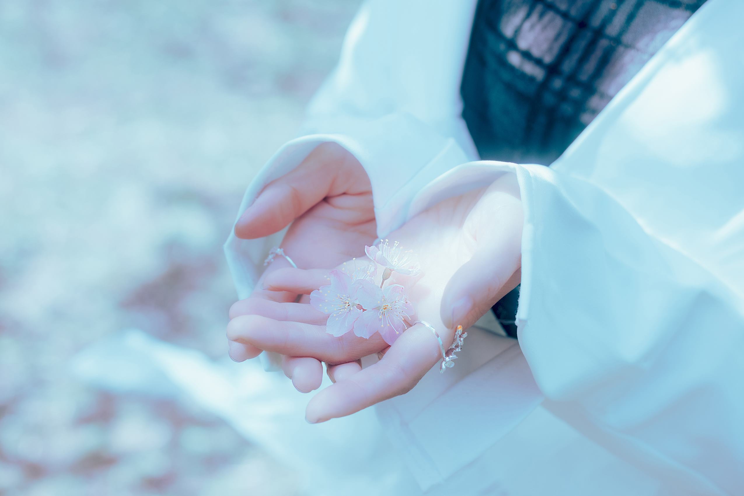 图片[10]-Ely_eee(ElyEE子)  – 17°C Pink Sakura17°C粉櫻[43P] – 速更版-美库