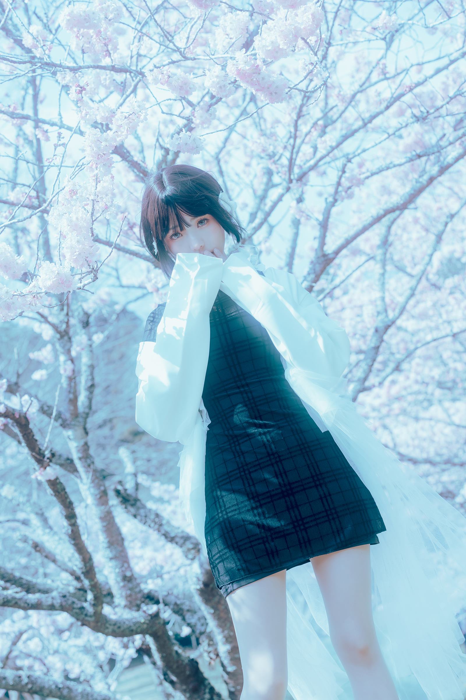 图片[22]-Ely_eee(ElyEE子)  – 17°C Pink Sakura17°C粉櫻[43P] – 速更版-美库