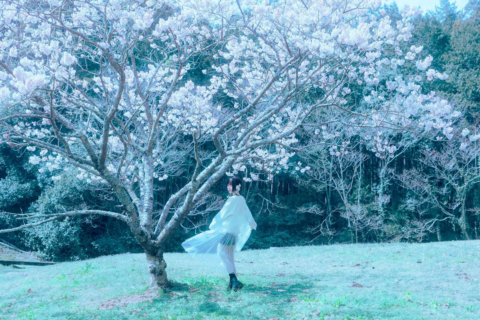 图片[41]-Ely_eee(ElyEE子)  – 17°C Pink Sakura17°C粉櫻[43P] – 速更版-美库